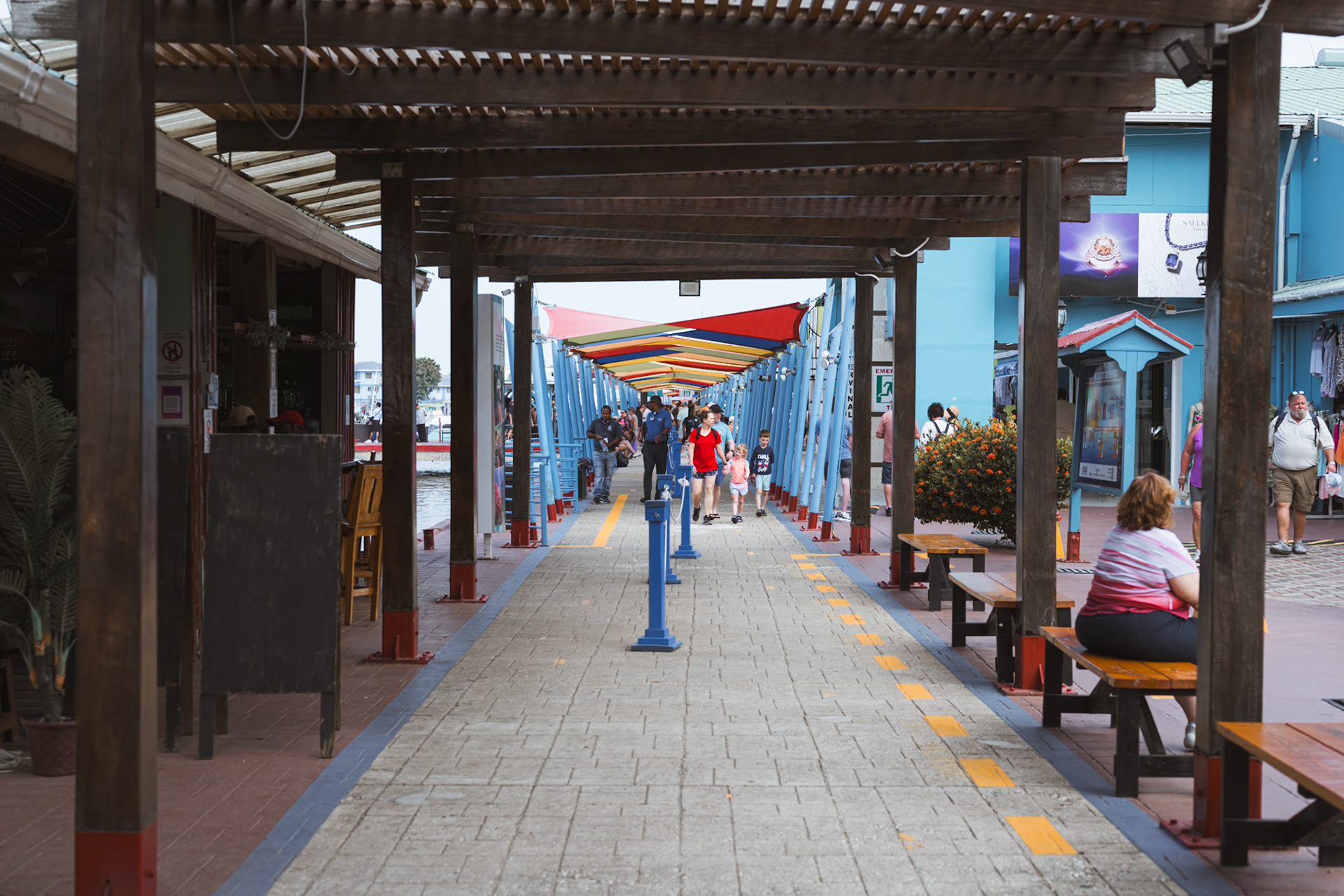 Colorful Path