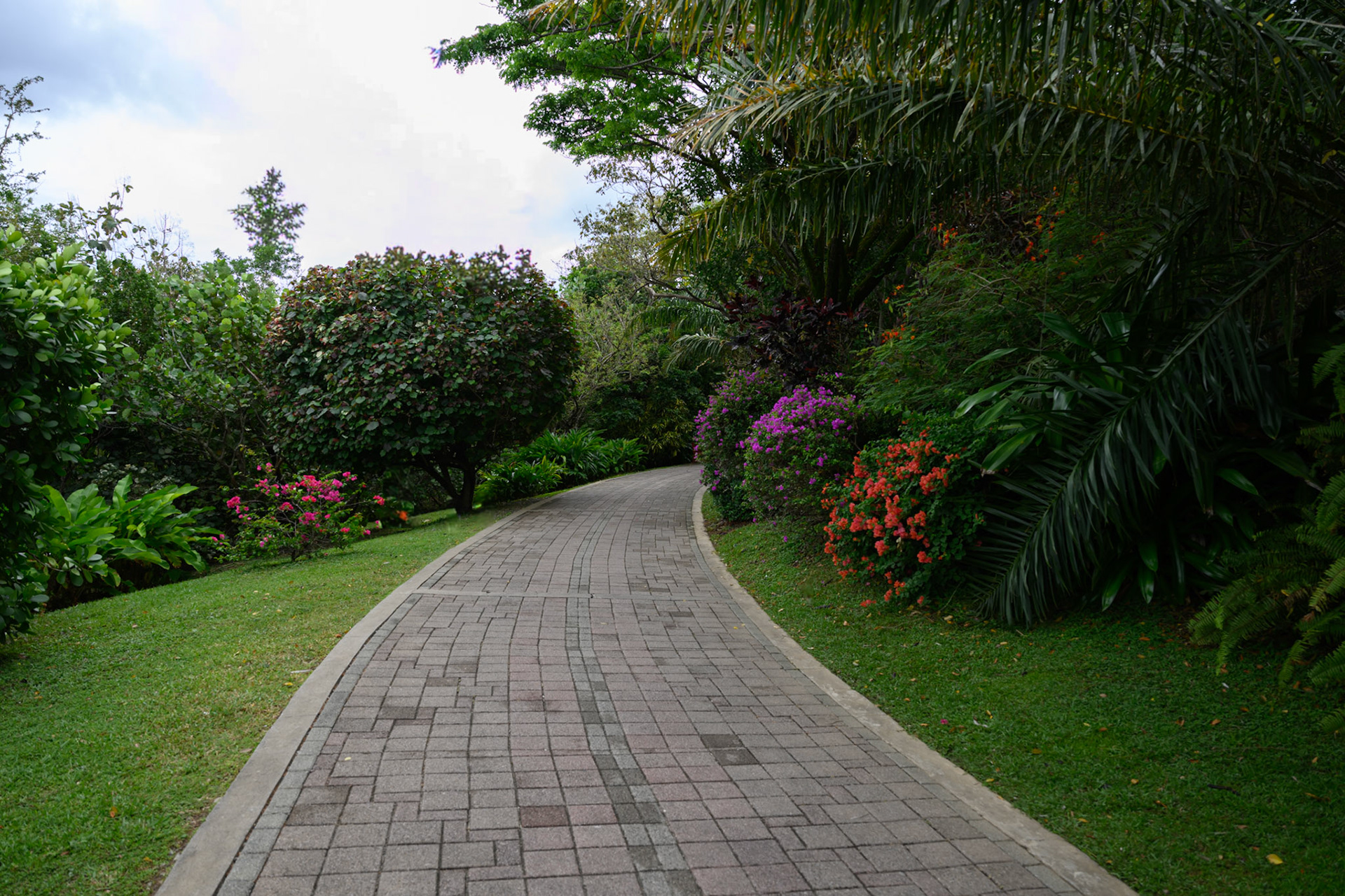 The Path