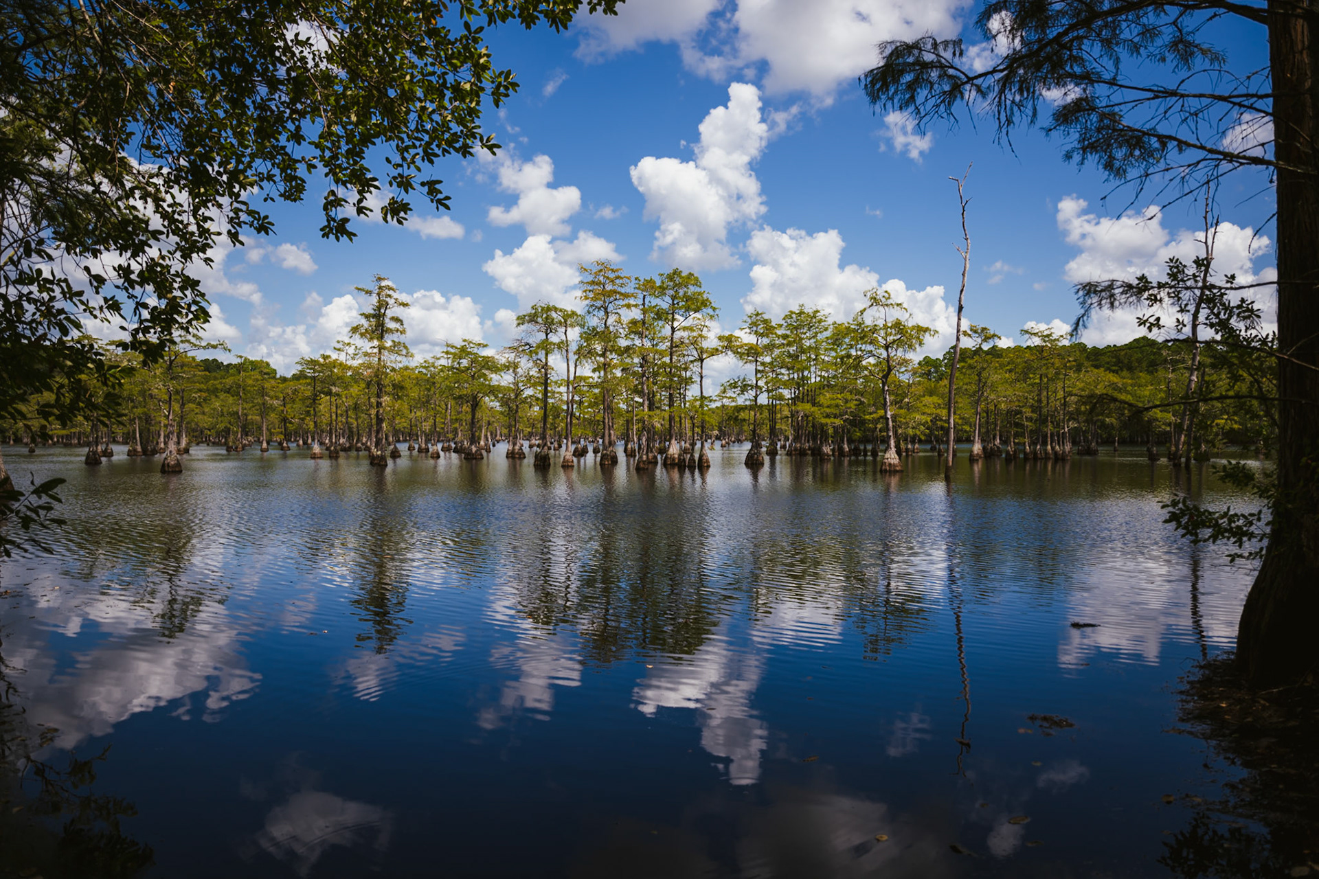 The Lake