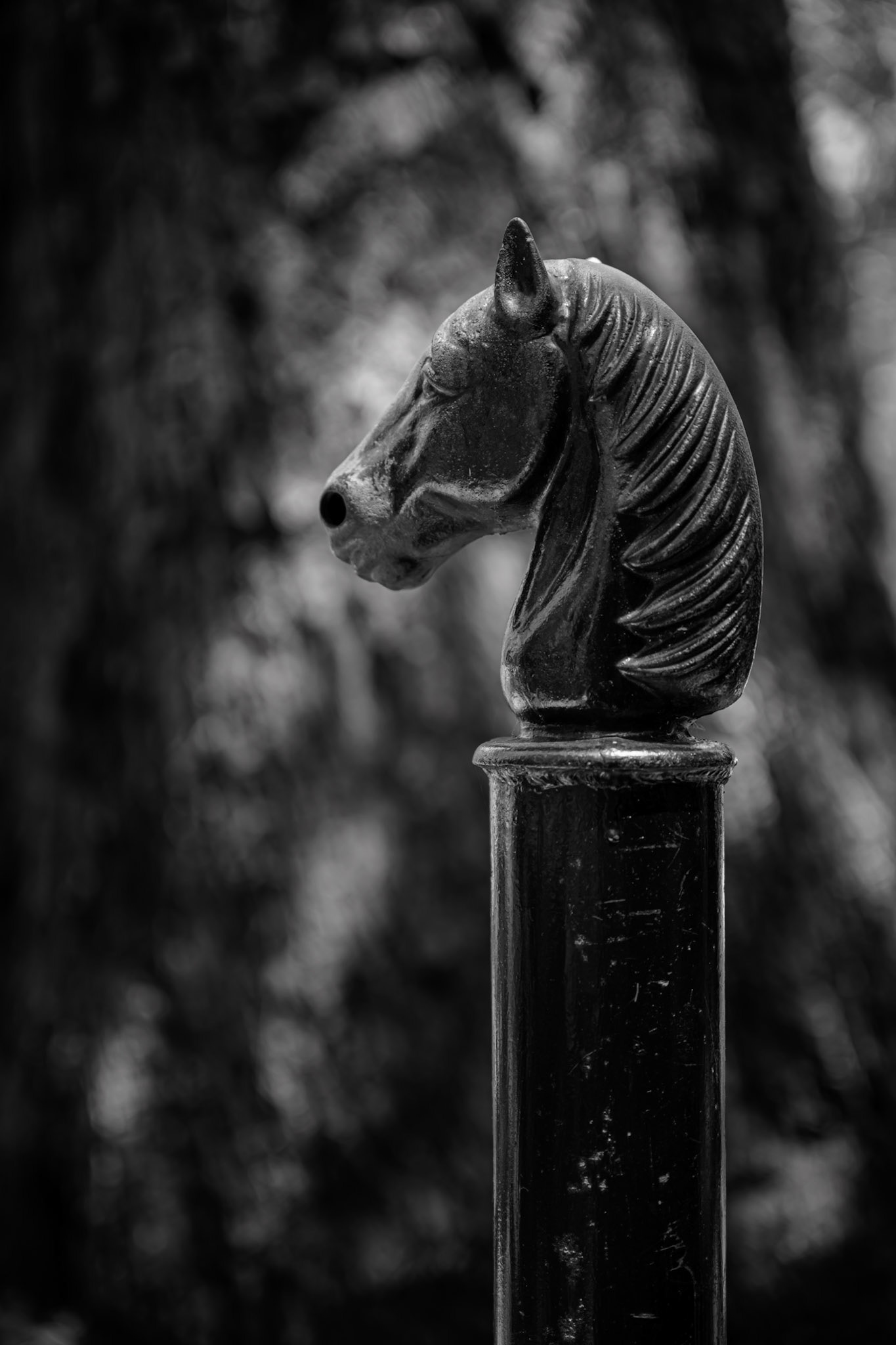 Horsehead