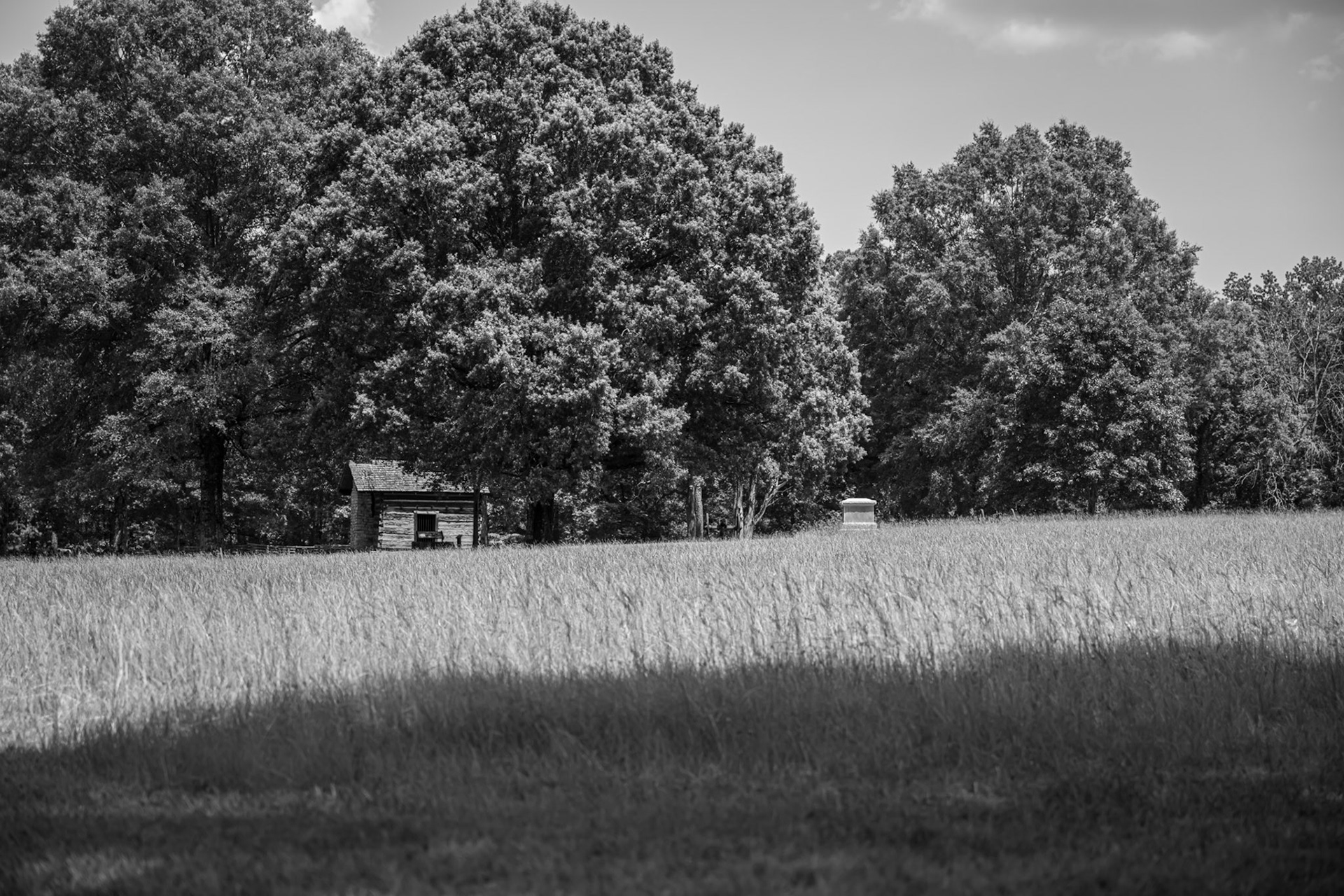 A Cabin in the Woods