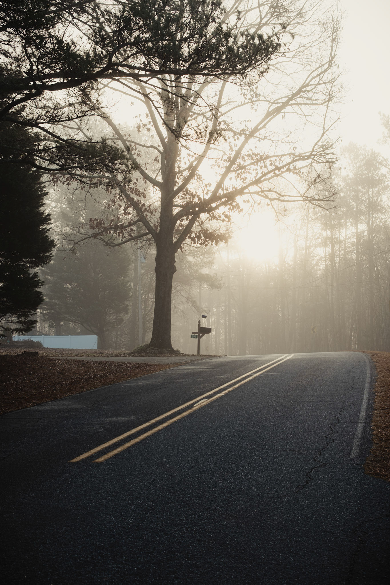 Blind Curve