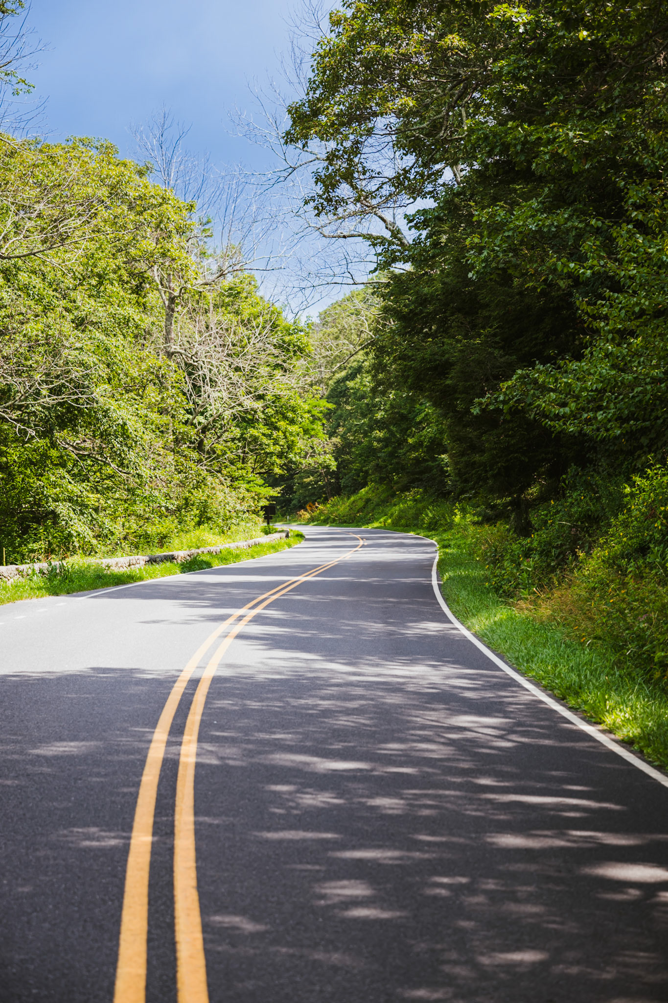 A Winding Road