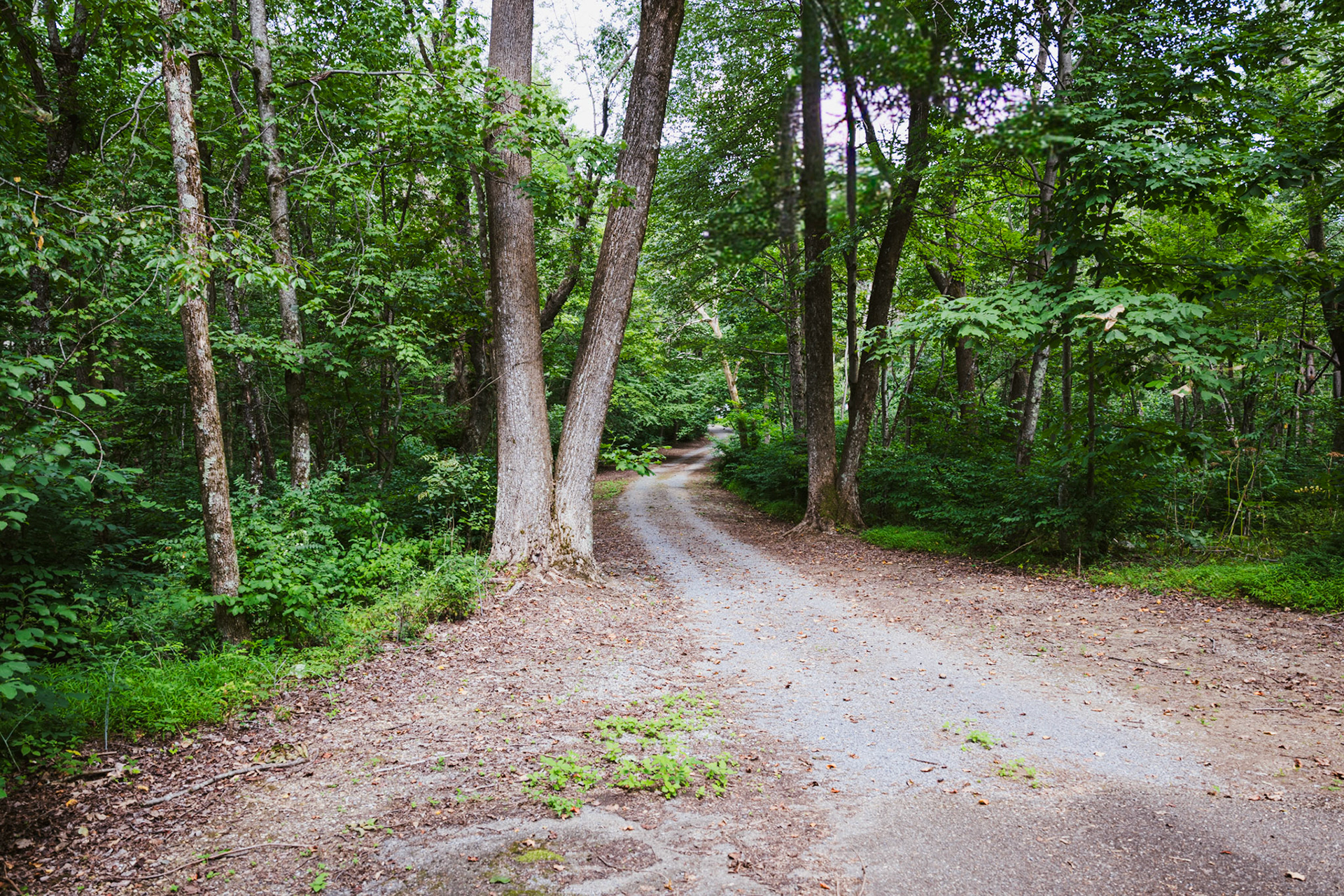 A Path Less Travelled