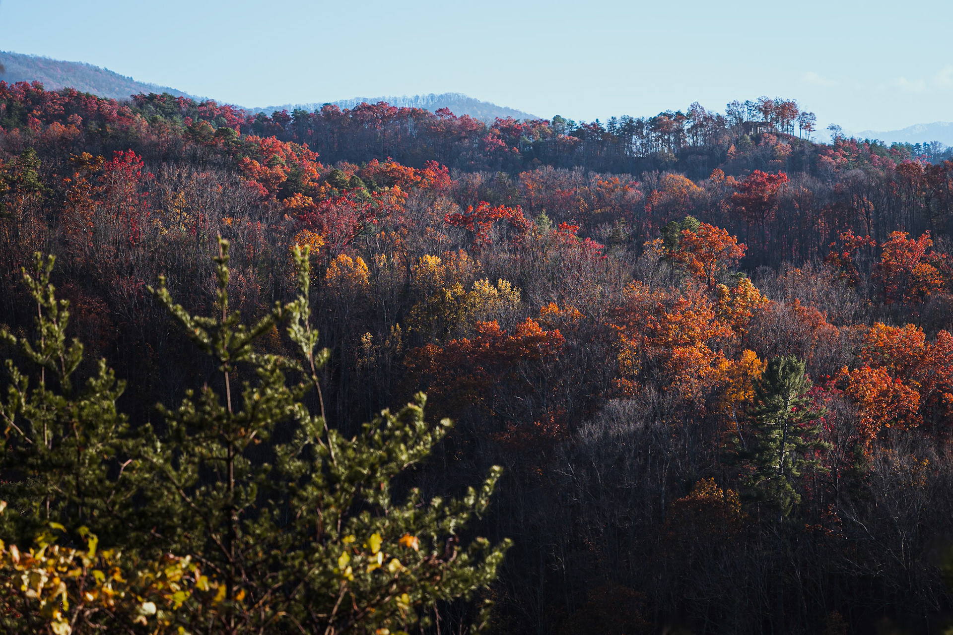 Fall in the Mountains