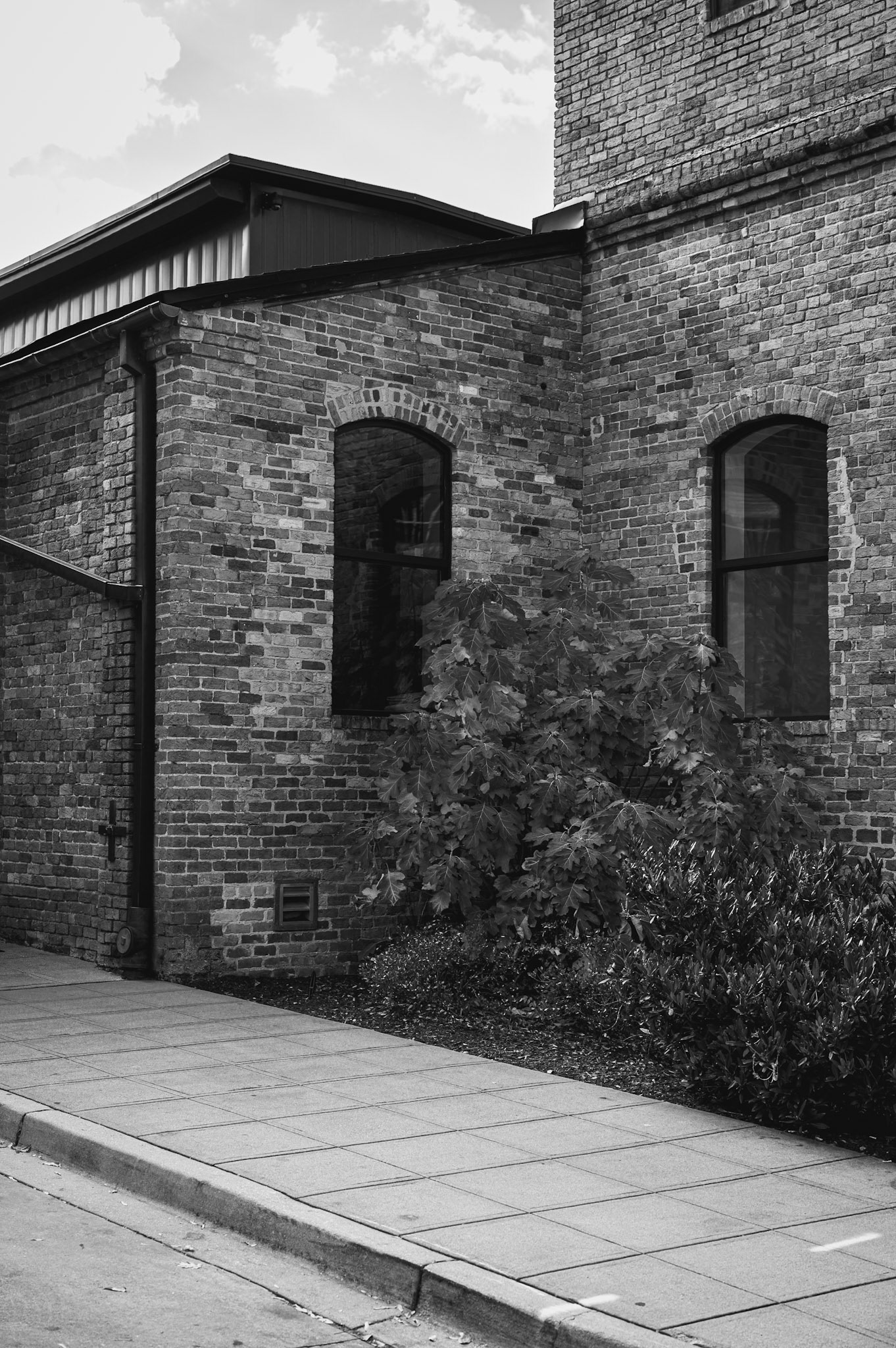 Old Mill