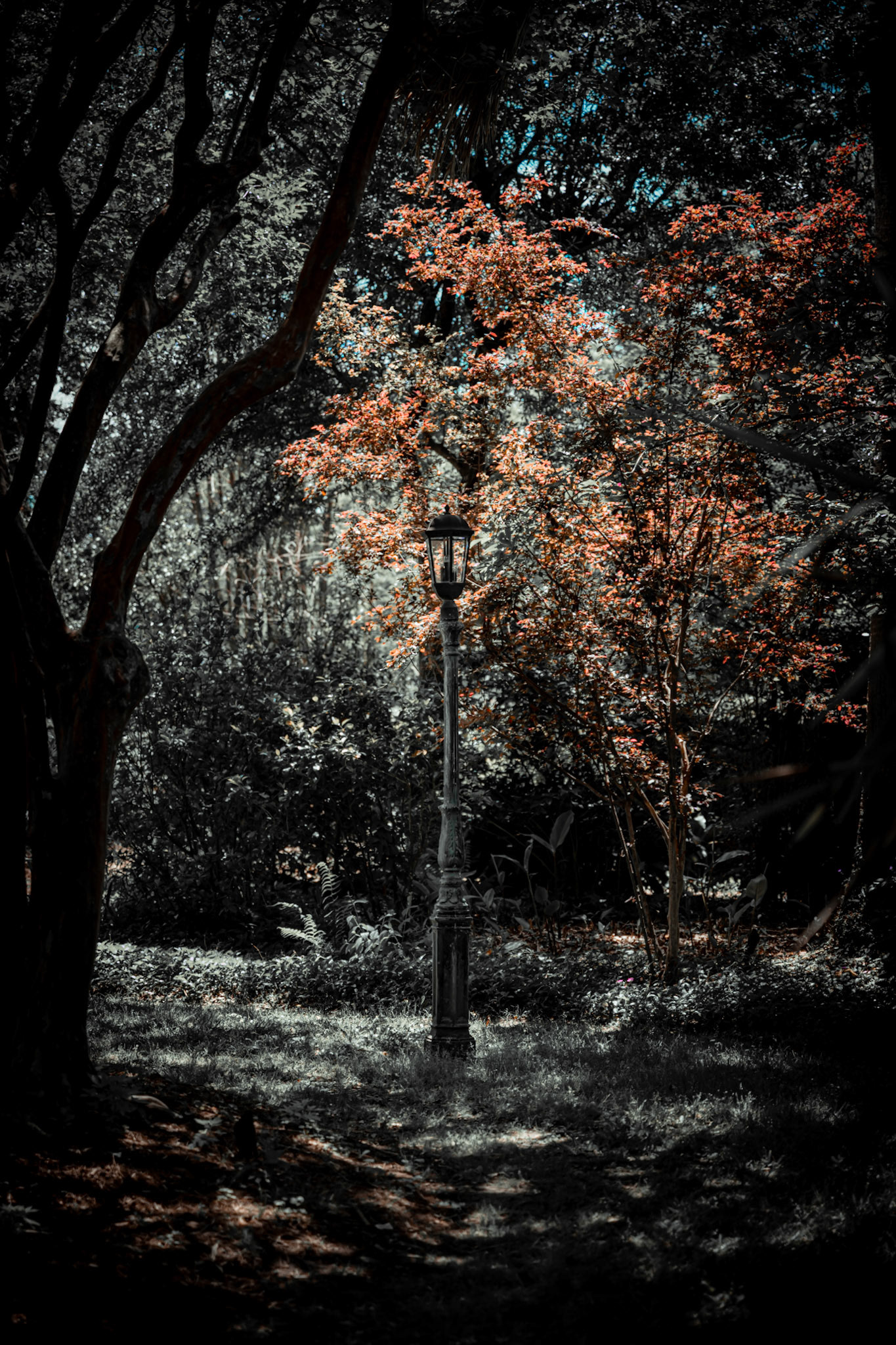 Light Post