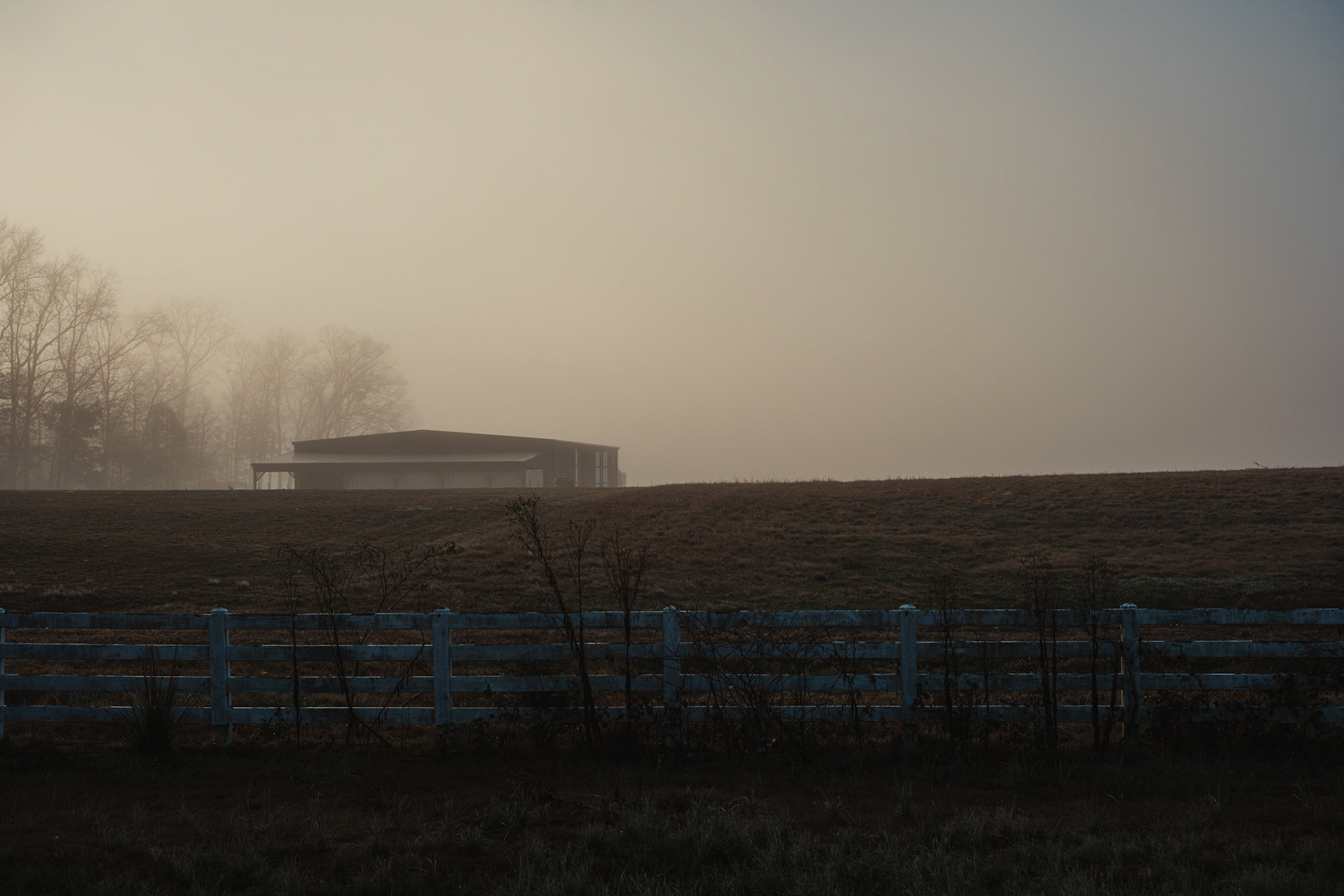 The Fog