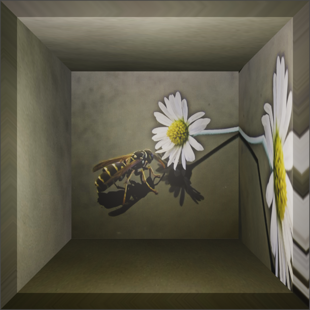 ▲2/4 PERSPECTIVE BEE