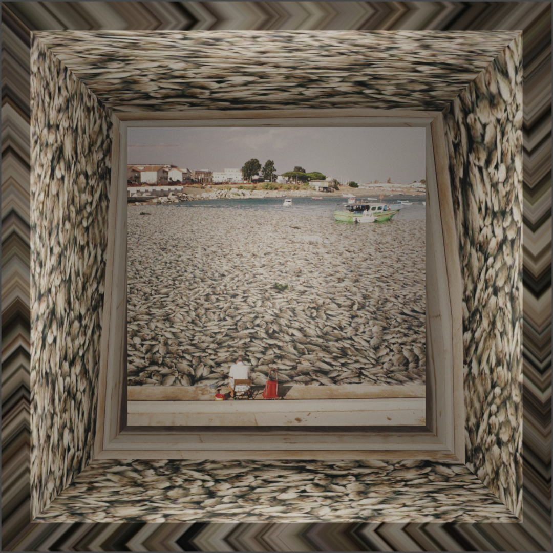 PERSPECTIVE OPENSEA