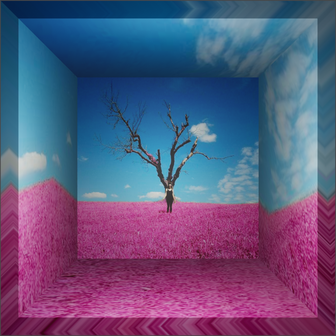 PERSPECTIVE PINK