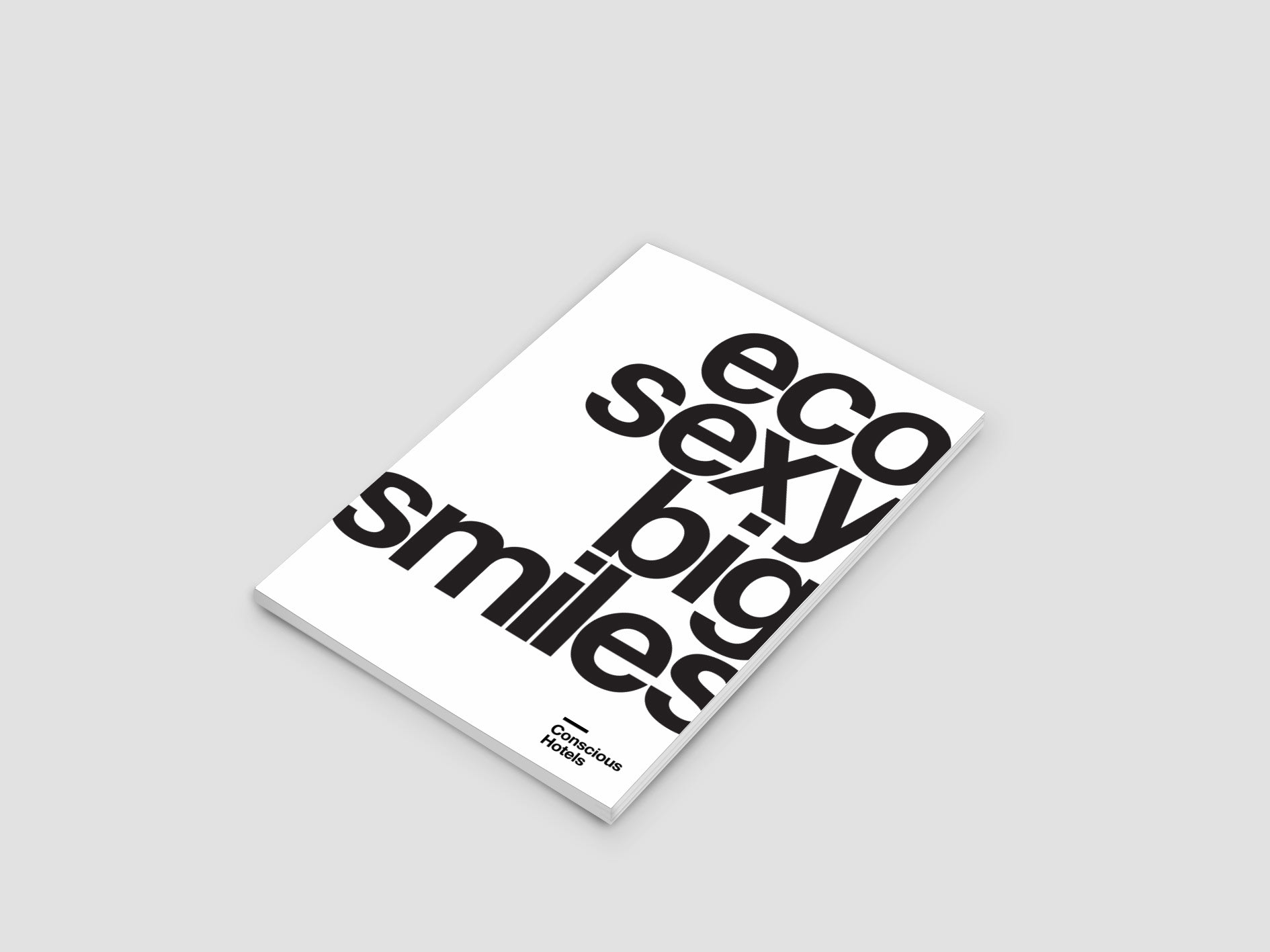 BRANDBOOK DESIGN LOGO ontwerp grafisch