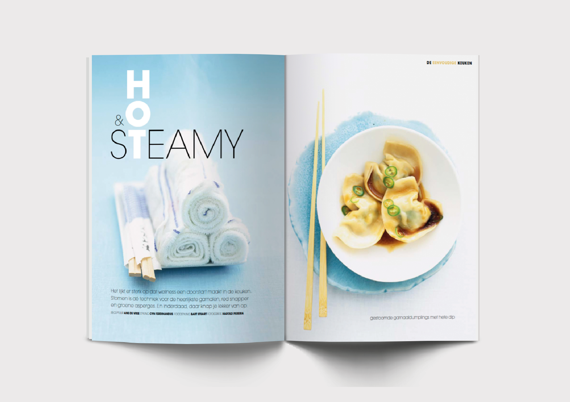 magazine tijdschrift spread ontwerp