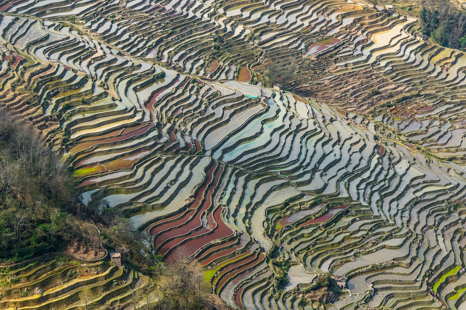 2018 - Yunnan, China