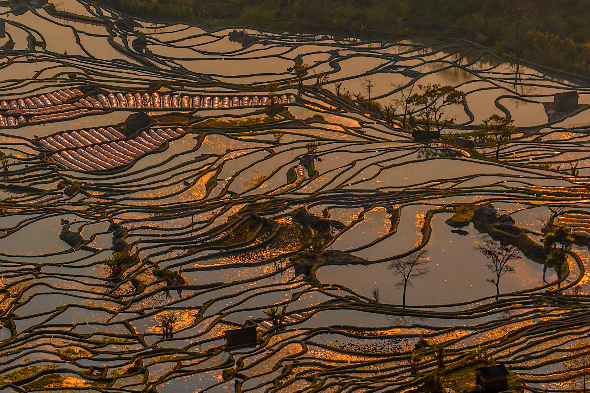 2018 - Yunnan, China