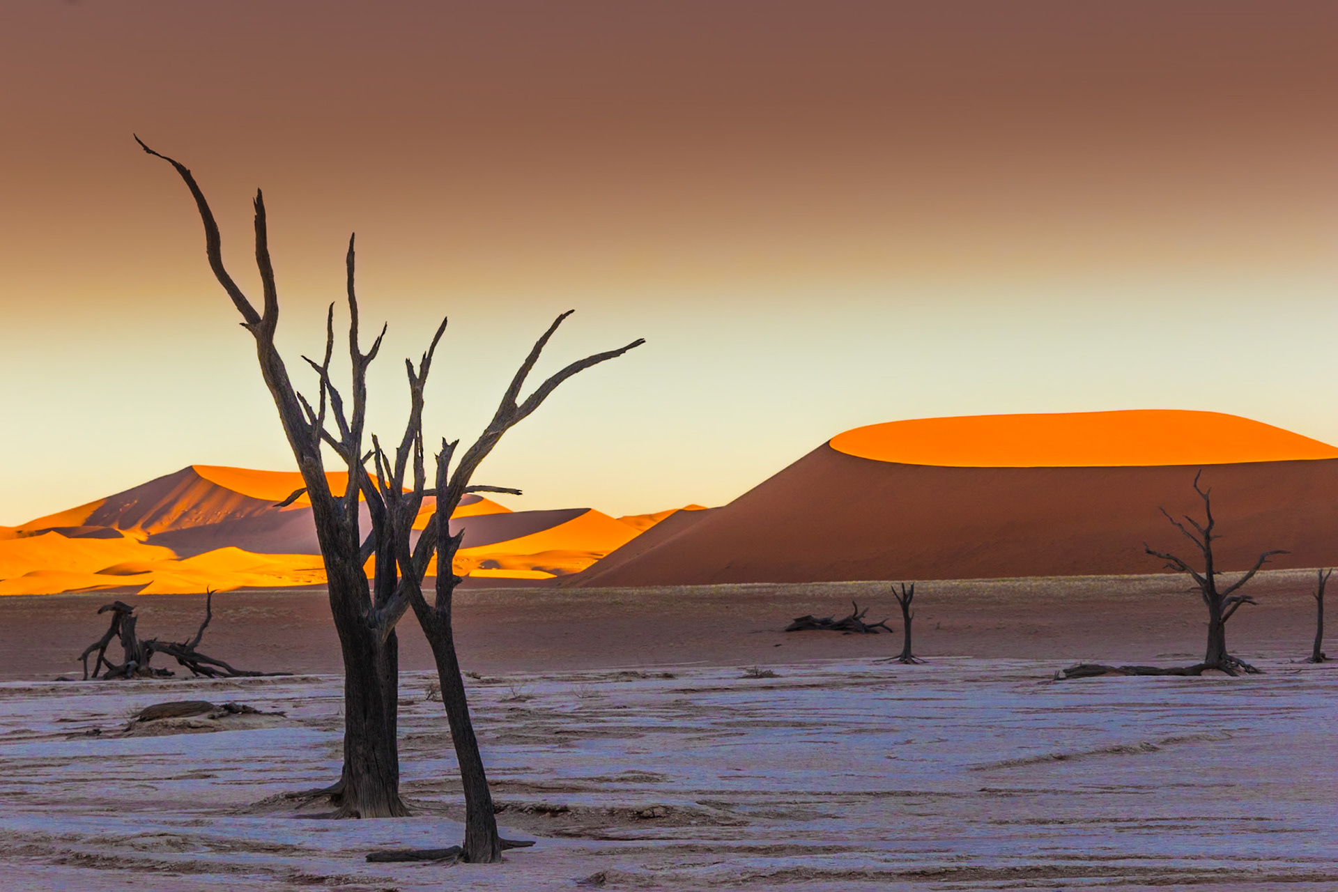 2018 - Sossusvlei, Namibia