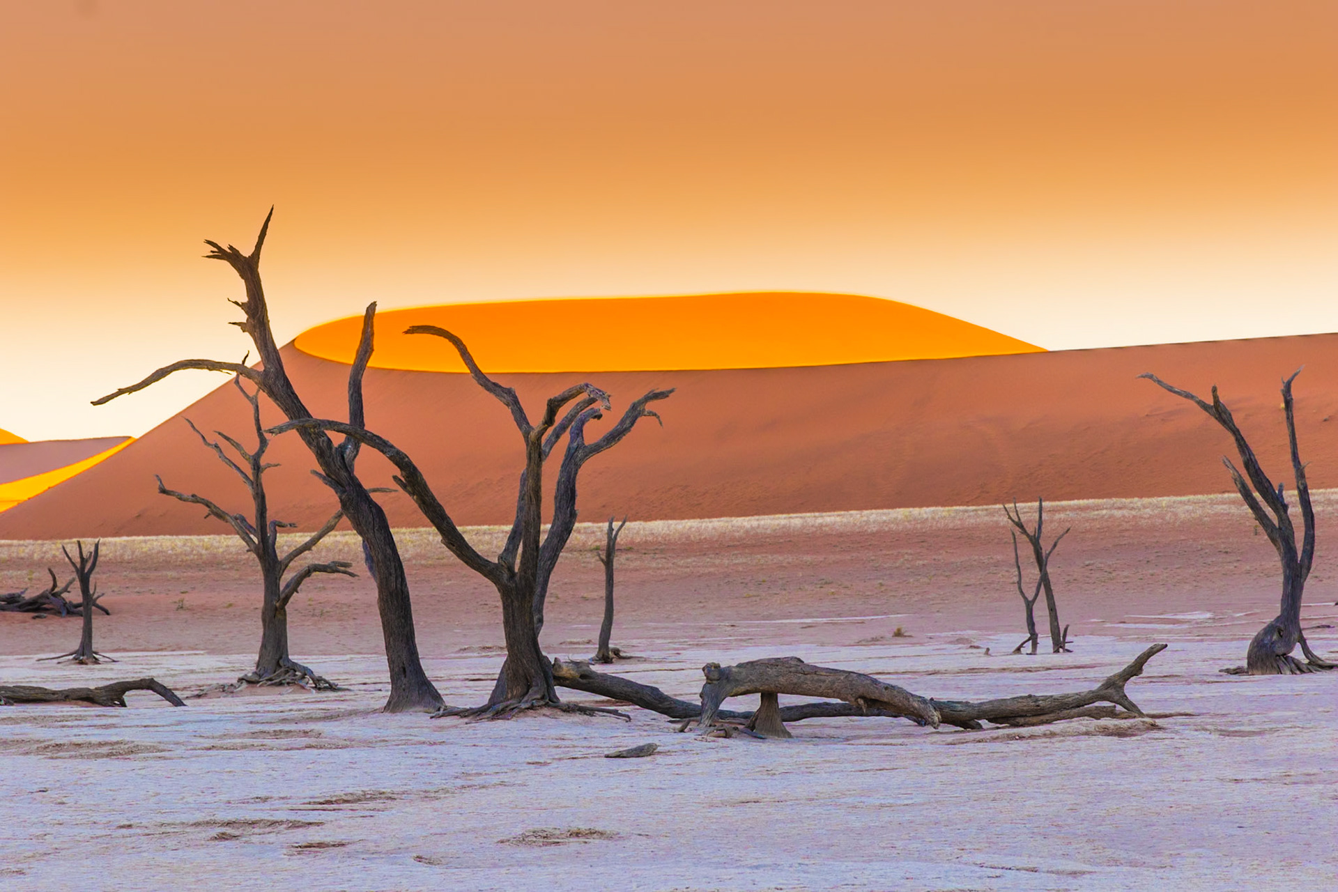 2018 - Sossusvlei, Namibia