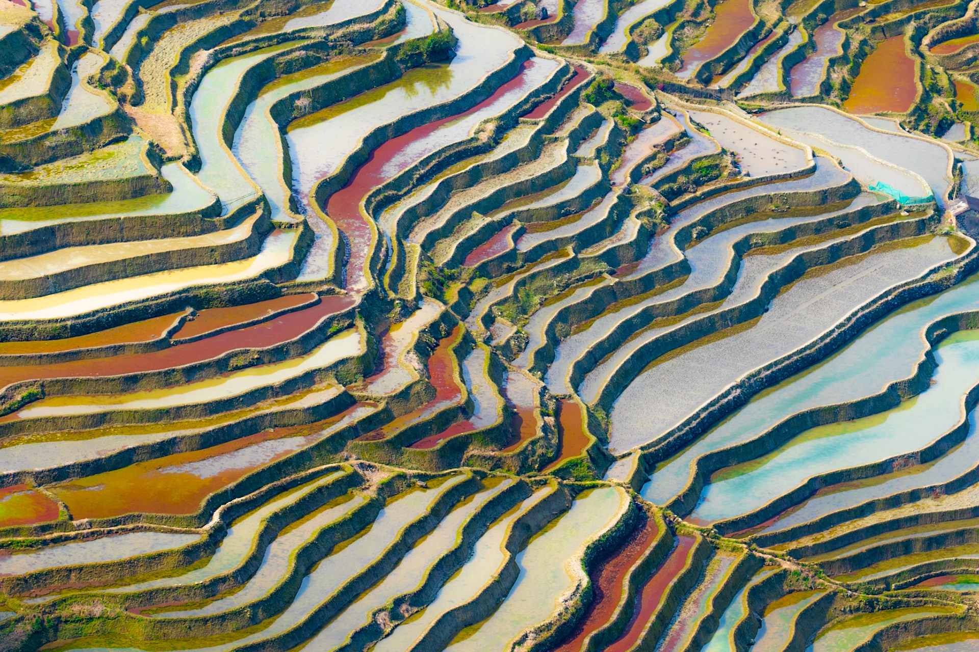 2018 - Yunnan, China