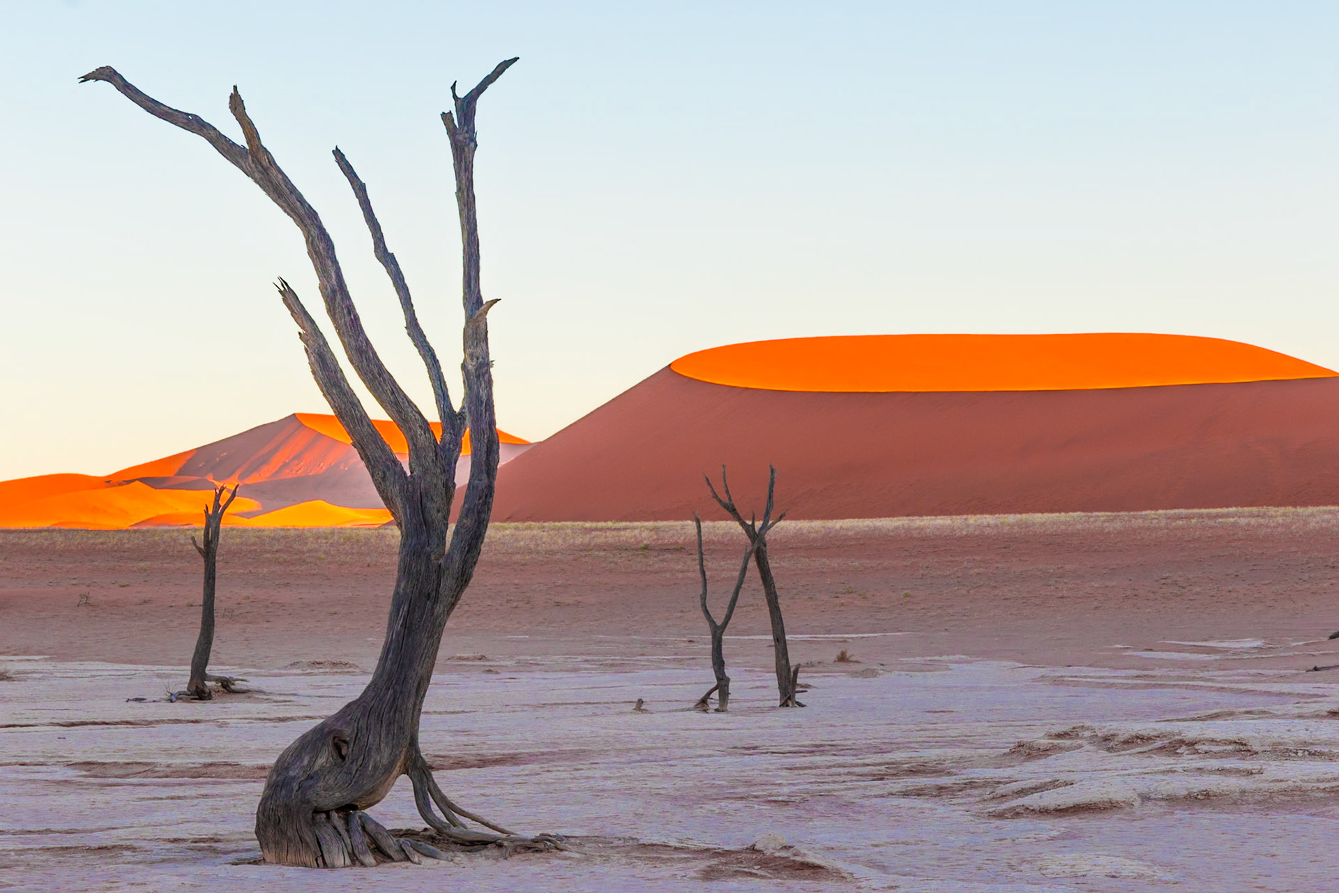 2018 - Sossusvlei, Namibia