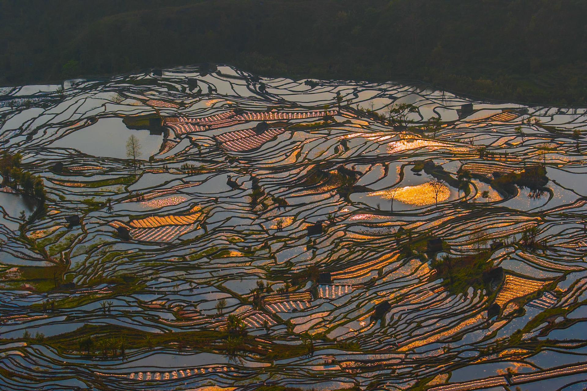 2018 - Yunnan, China