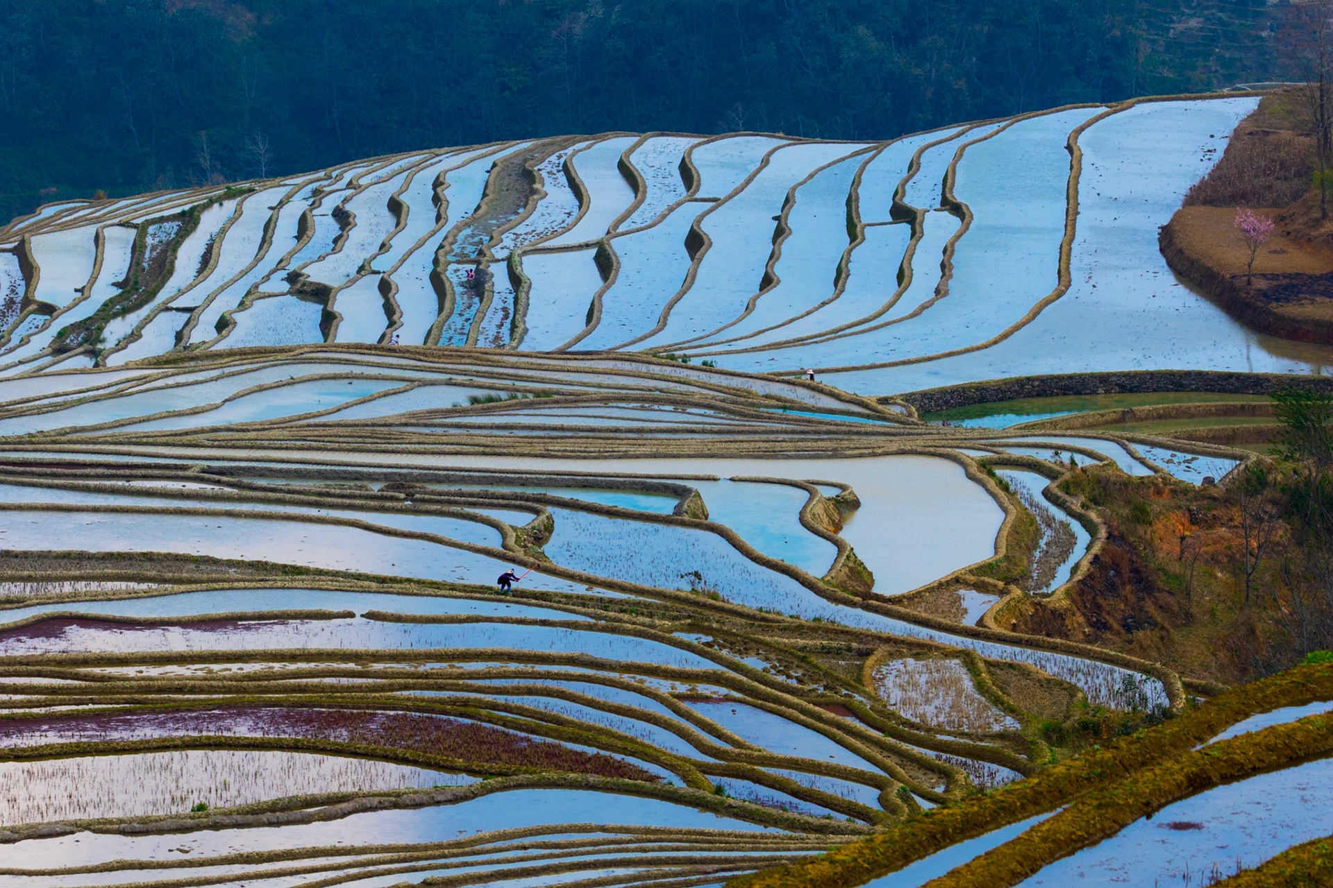 2018 - Yunnan, China