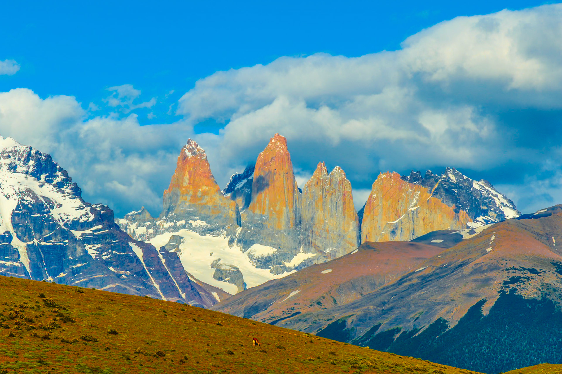 2017 - Torres de Paine, Chile