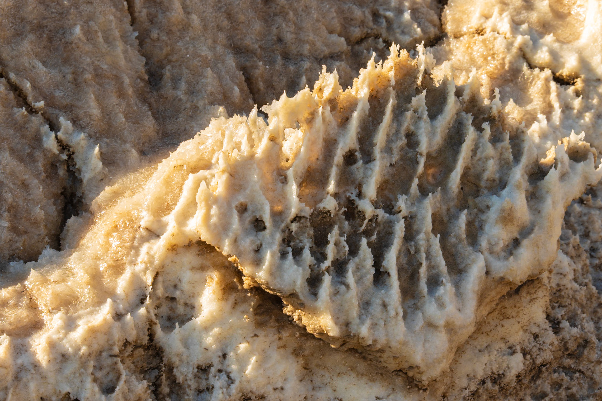 2025 - Israel, Dead Sea