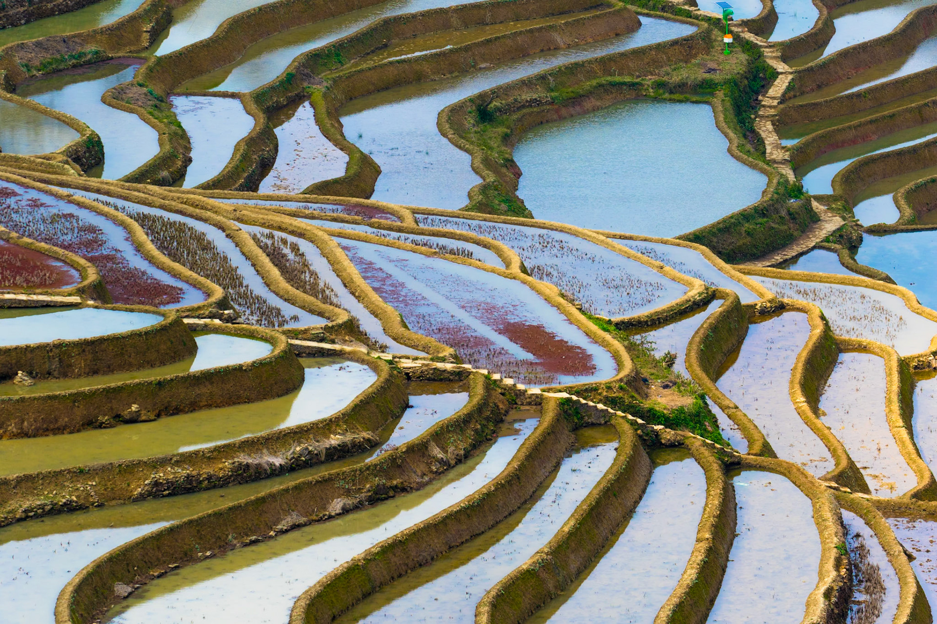 2018 - Yunnan, China