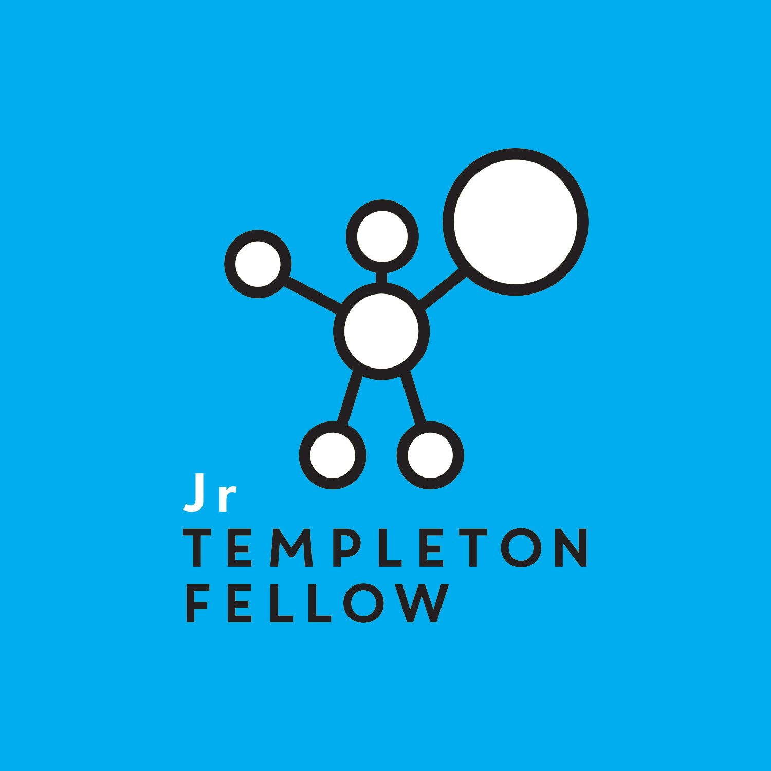 Magyar Templeton program logo