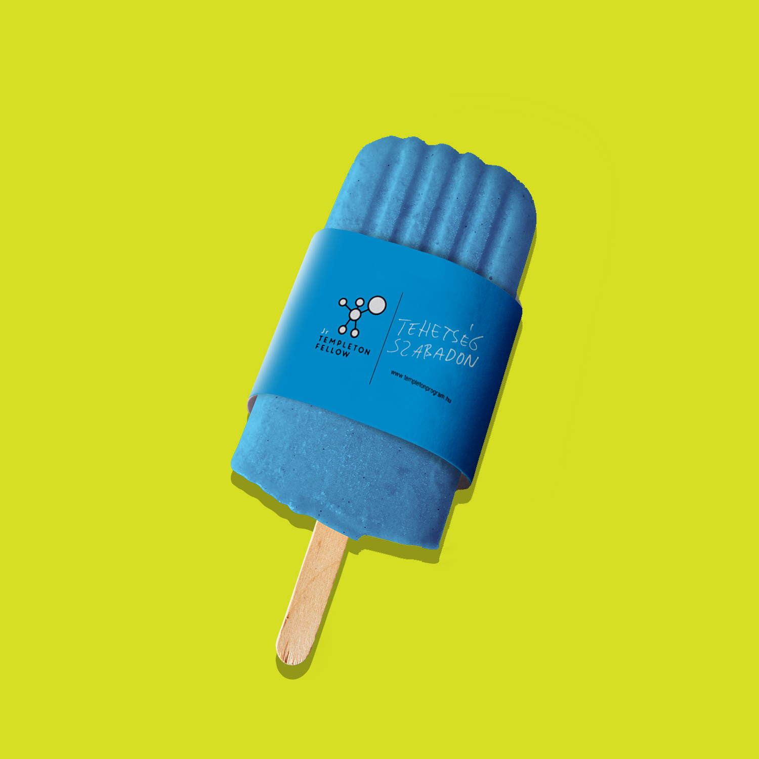 Magyar Templeton program branding