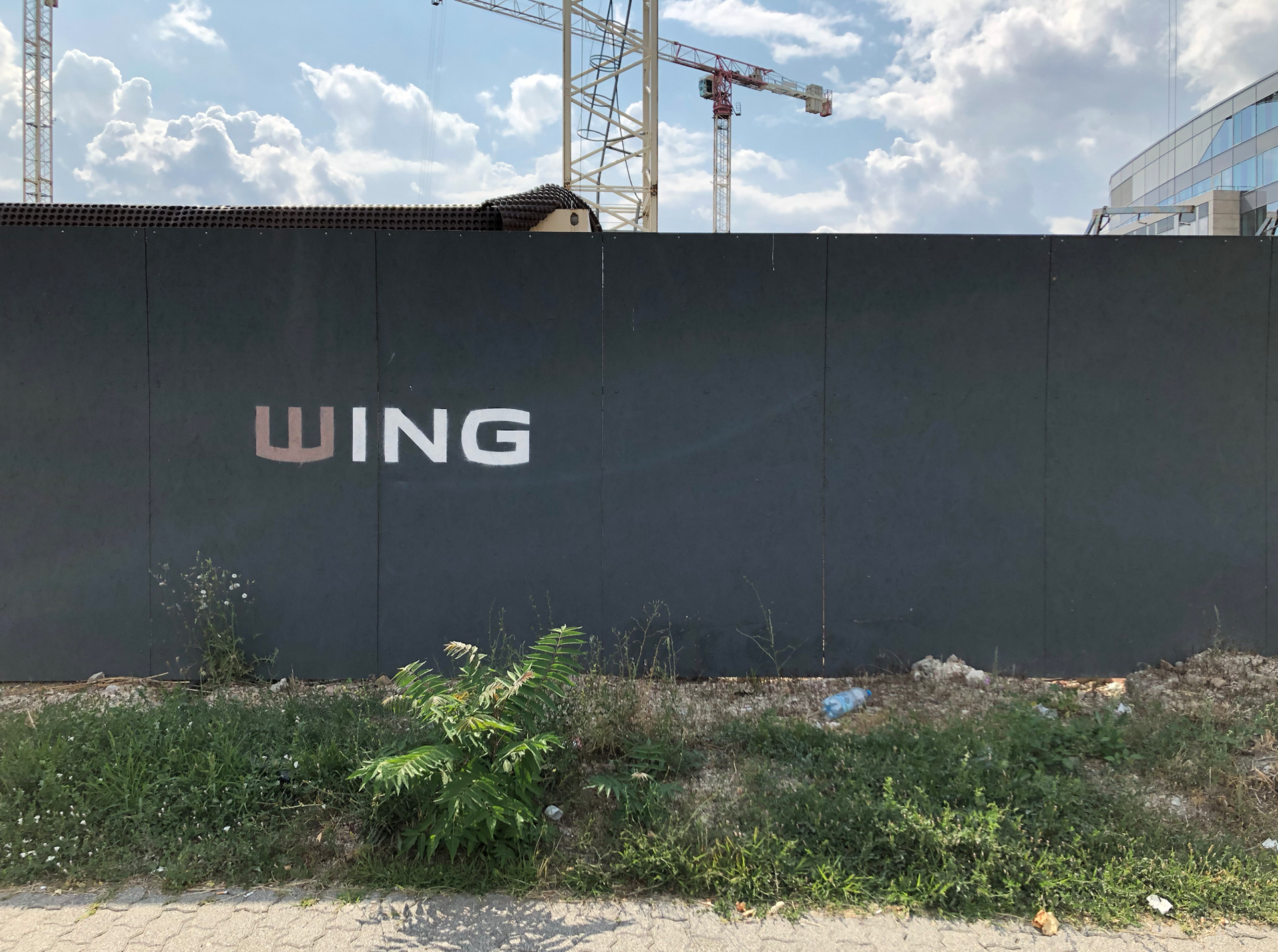 WING teljes arculat