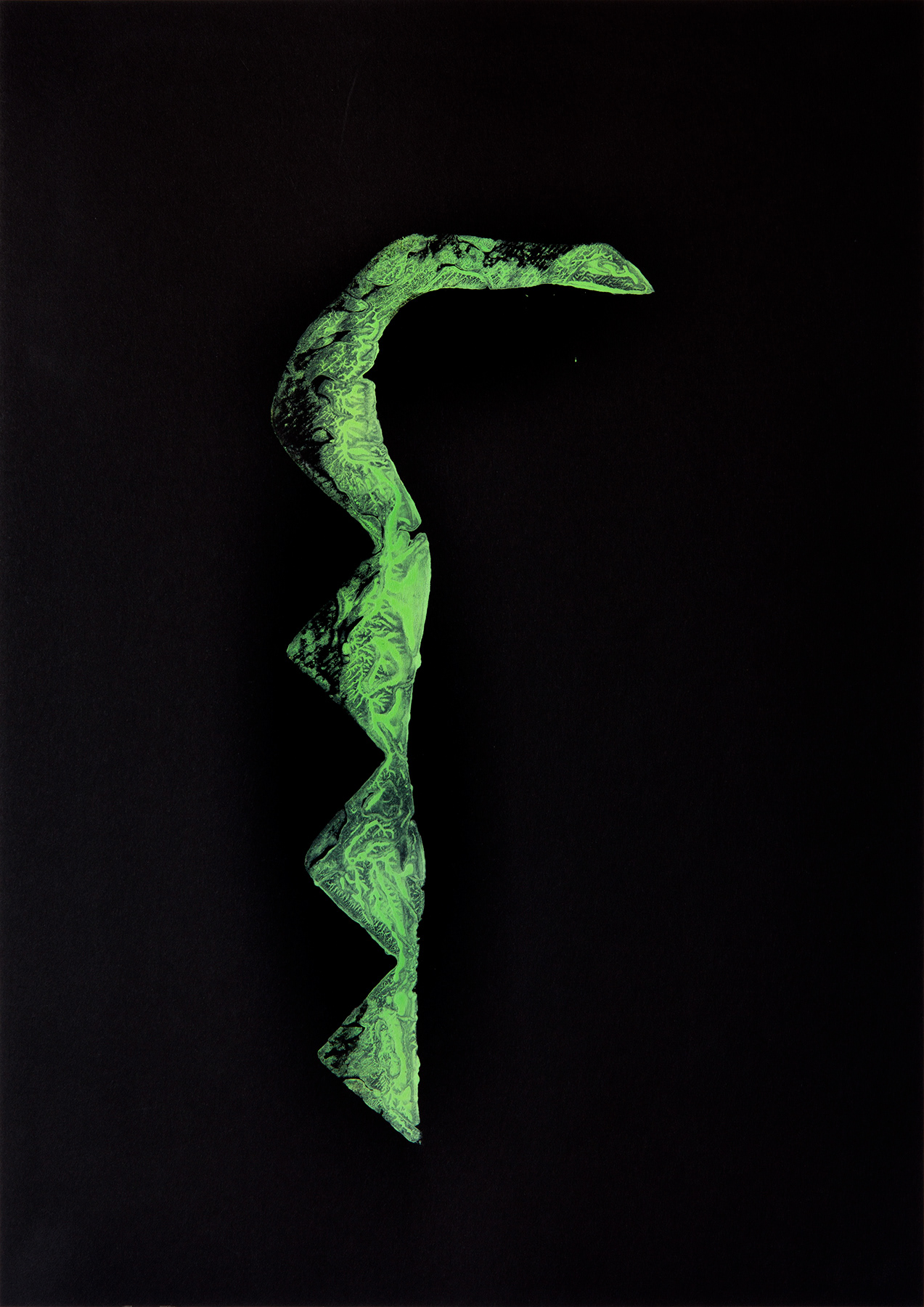 Michal-Sophia Tobiass, Ancient Serpent (Alexander), 2020, monotype on paper, 42X29.7 cm