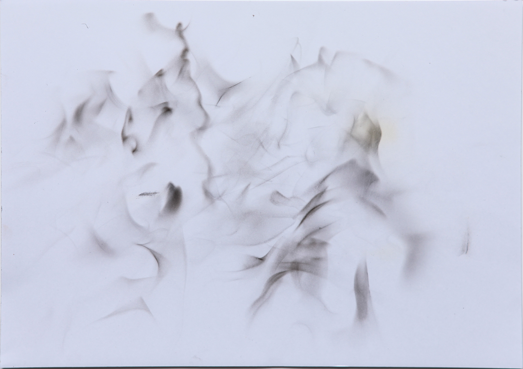 Study of a Horse (2025), Paper, fire, palo santo, 21 × 29.7 cm, 2025