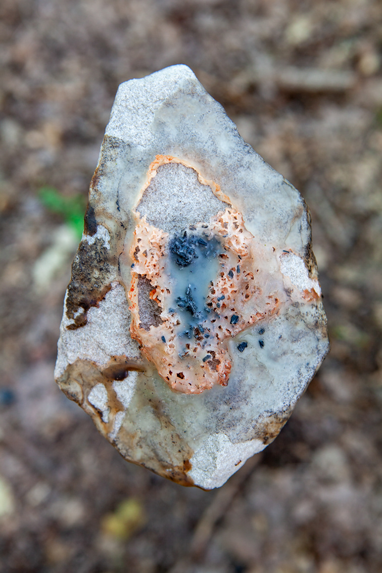 Installation view, June 2024, Fontainebleau Forest