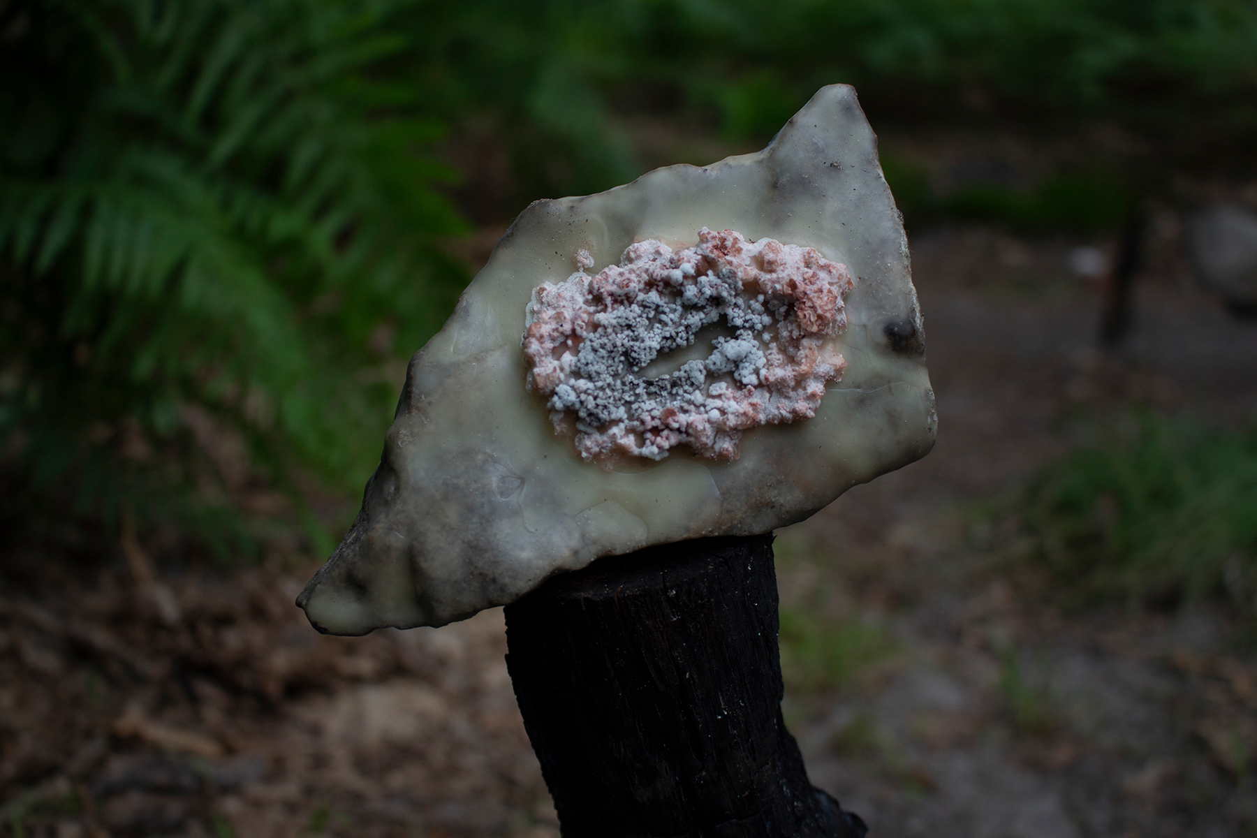 Installation view, June 2024, Fontainebleau Forest. Photo: Mathilde Nicol