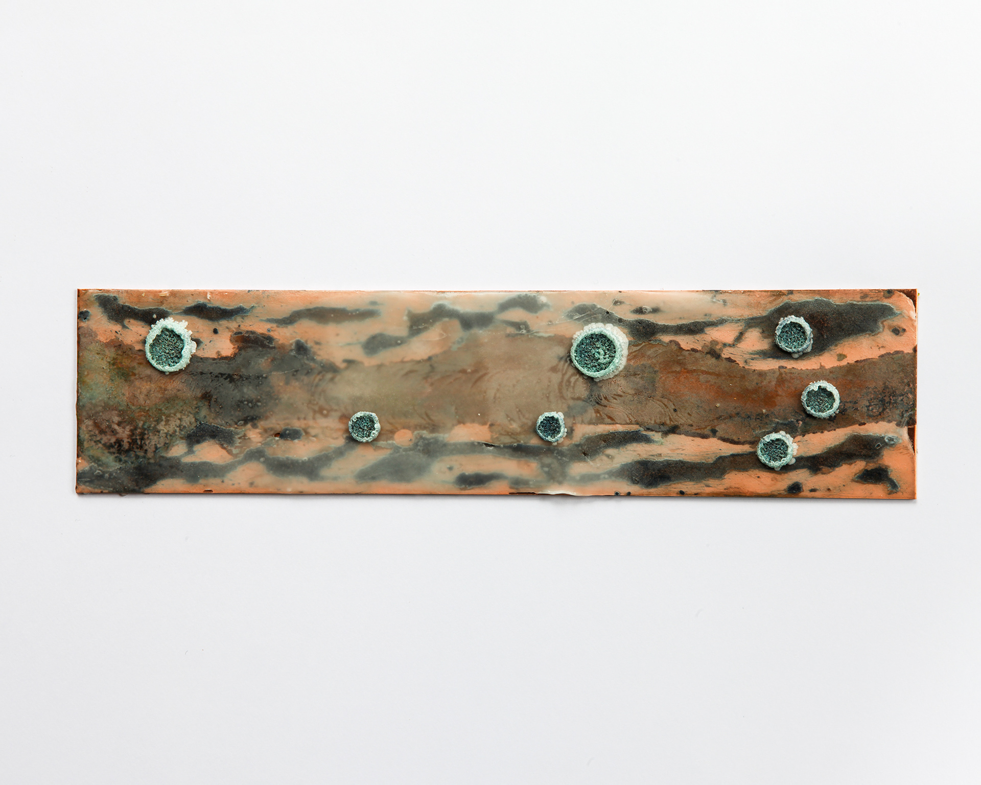 You Are Not Forgotten, Heat, fire, wax, Dead Sea salt, water and pigments on copper, 6.3 × 25.5 cm, 2024