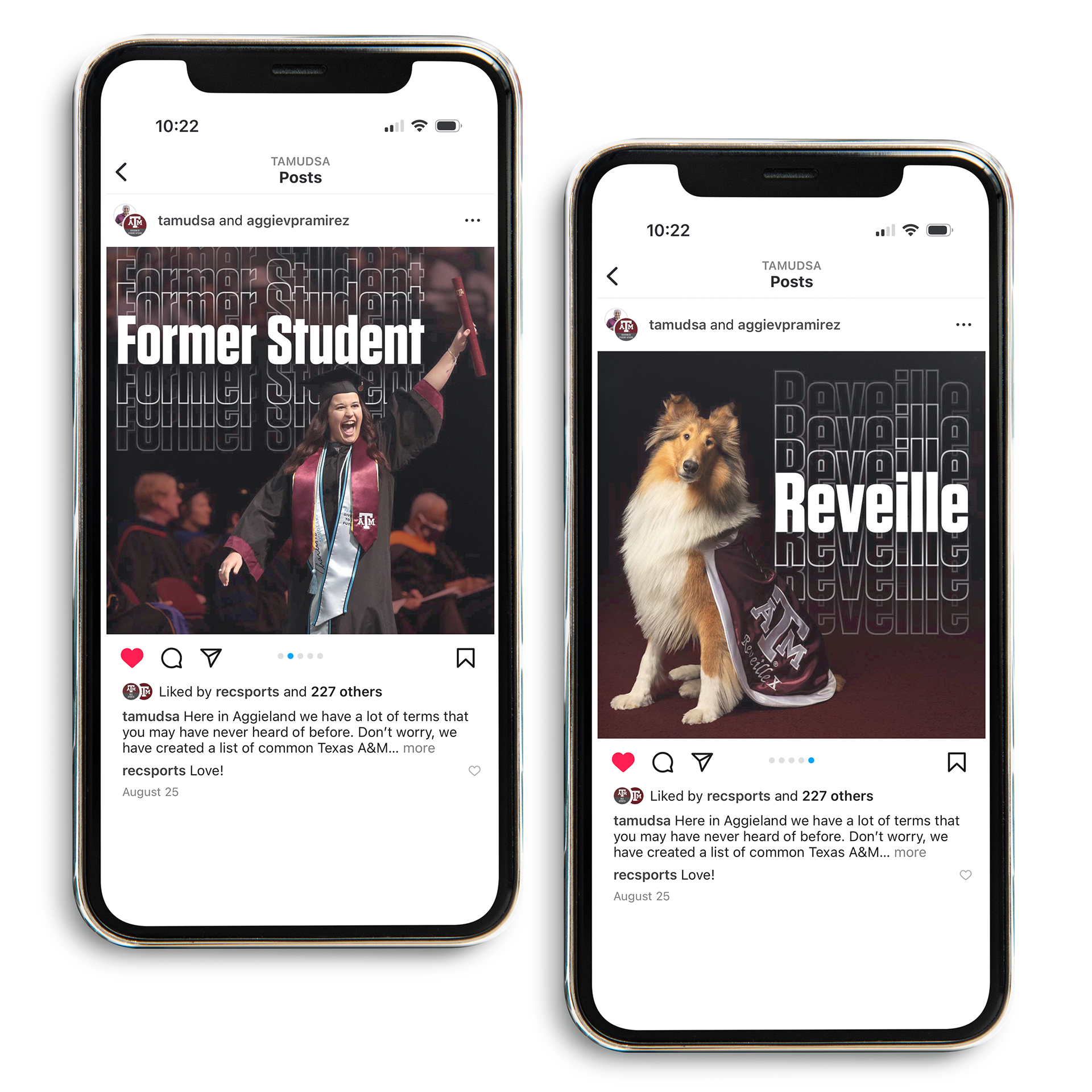 Aggie Dictionary Instagram posts