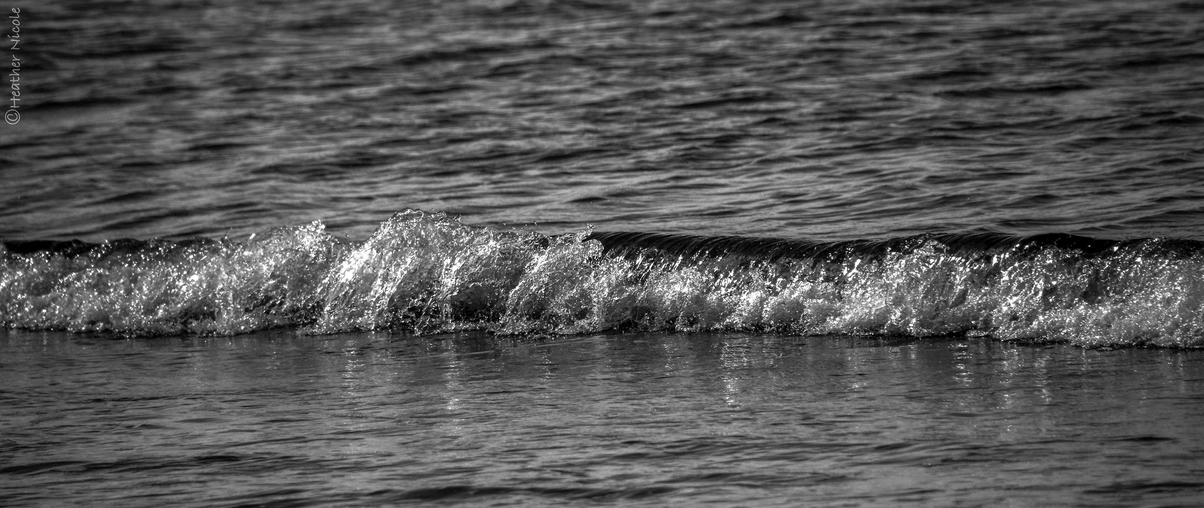 Silver Wave ©MomentsbyHeatherNicole
