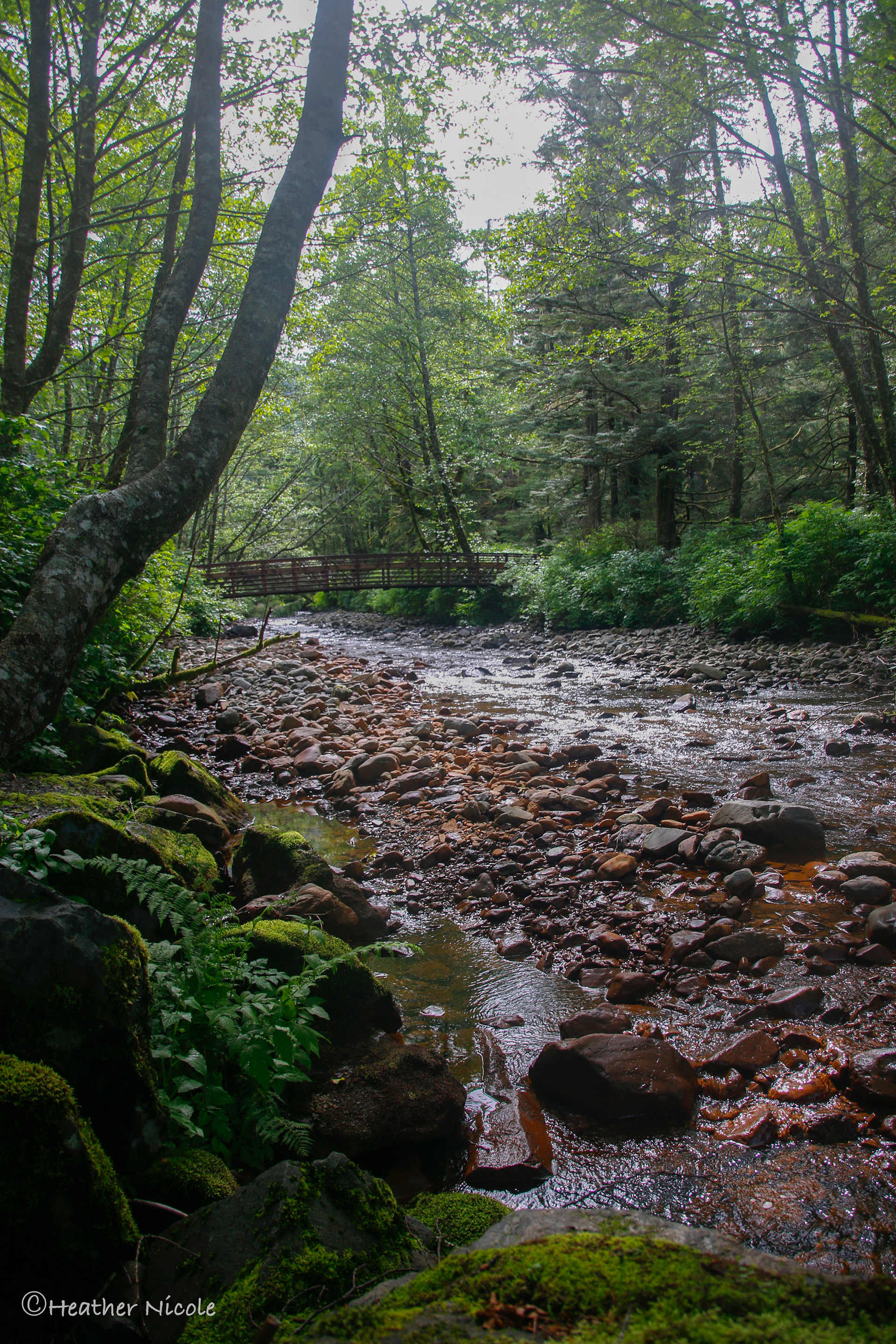 Indian River ©MomentsbyHeatherNicole