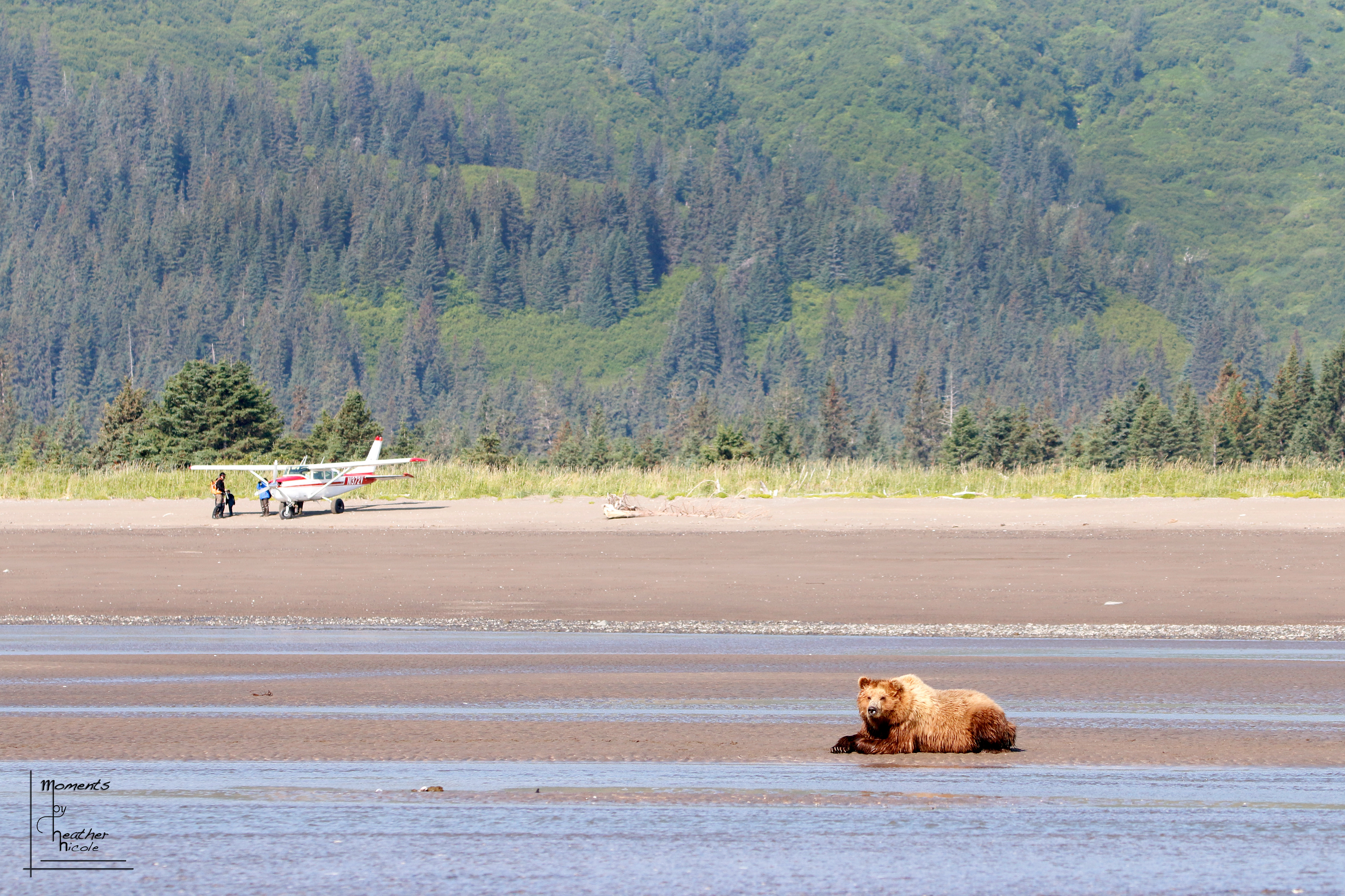 Beach Bum  - ©MomentsbyHeatherNicole