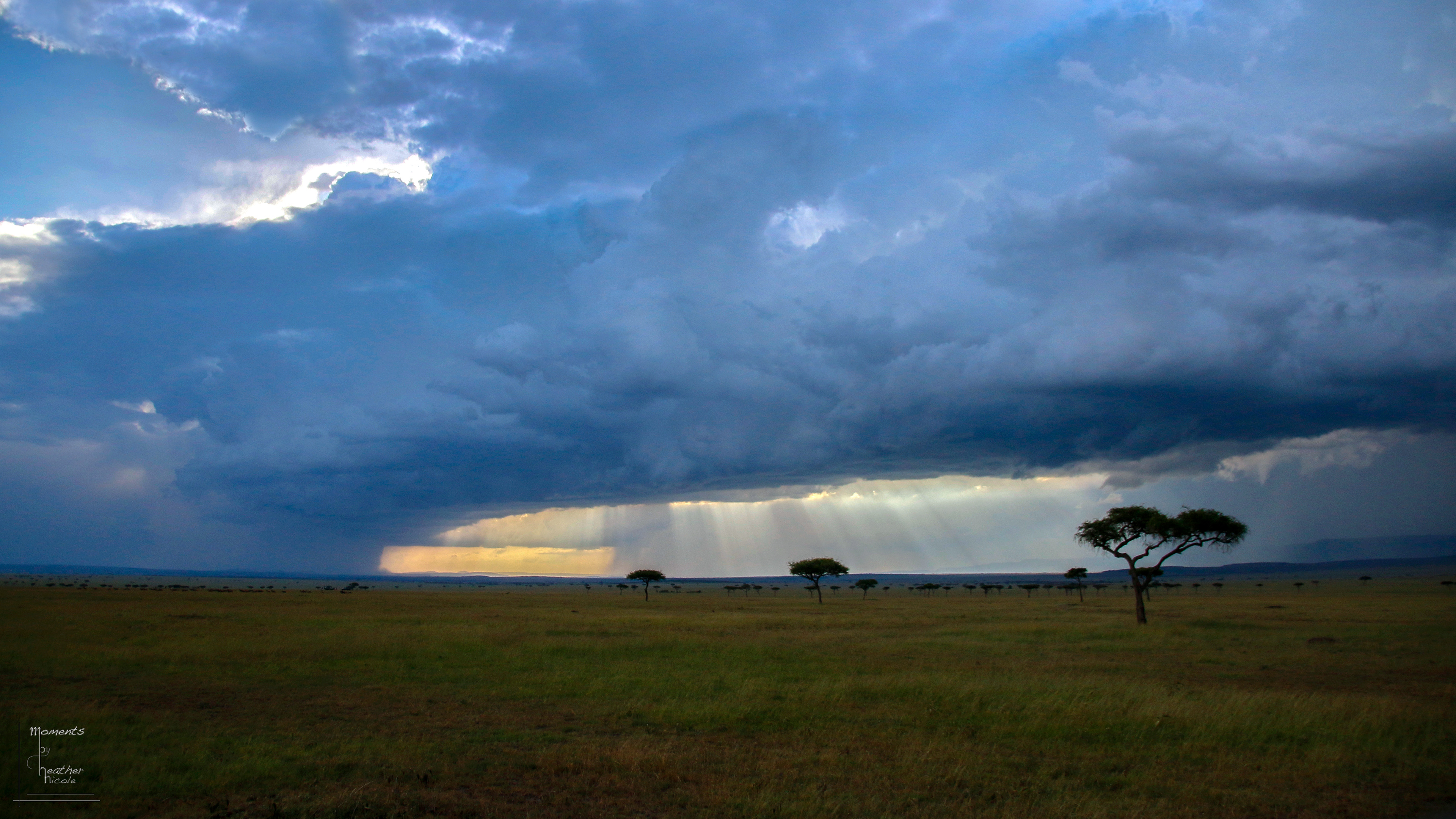 Masai Mara Morning