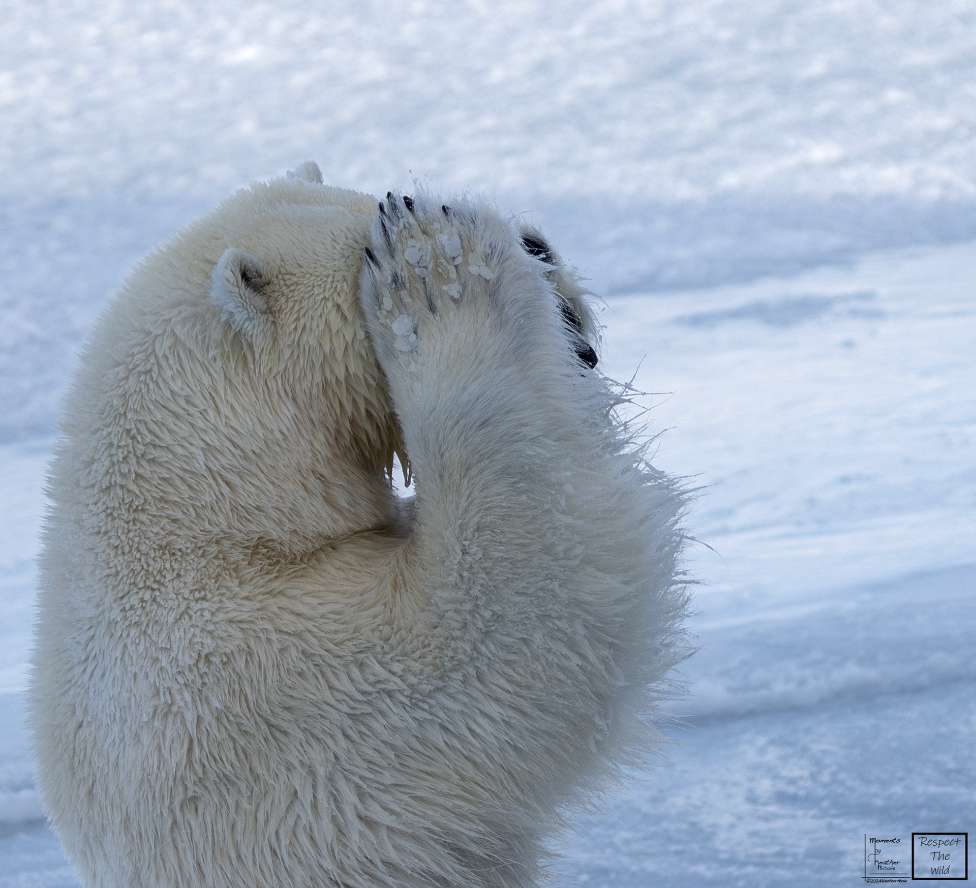 I can't even - ©MomentsbyHeatherNicole