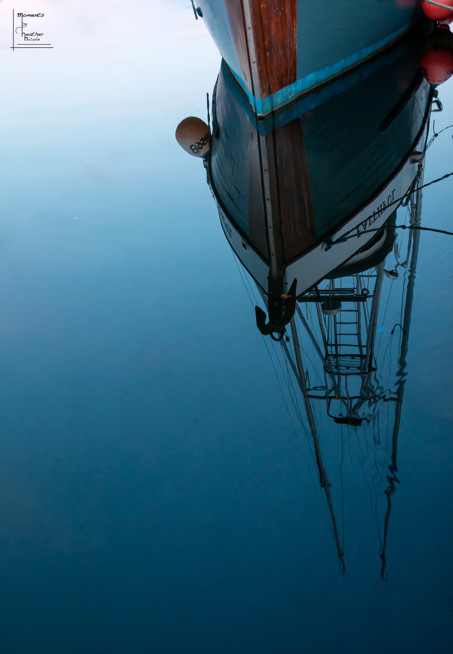 Stillness - ©MomentsbyHeatherNicole