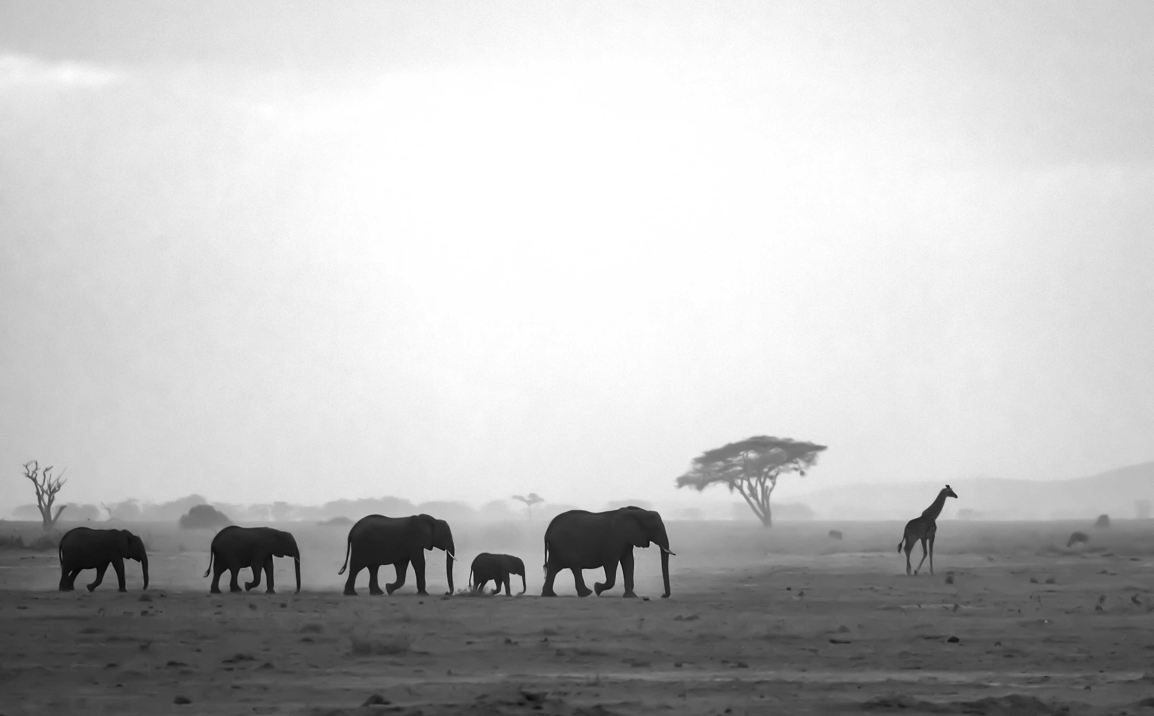 Walk This Way  - ©MomentsbyHeatherNicole