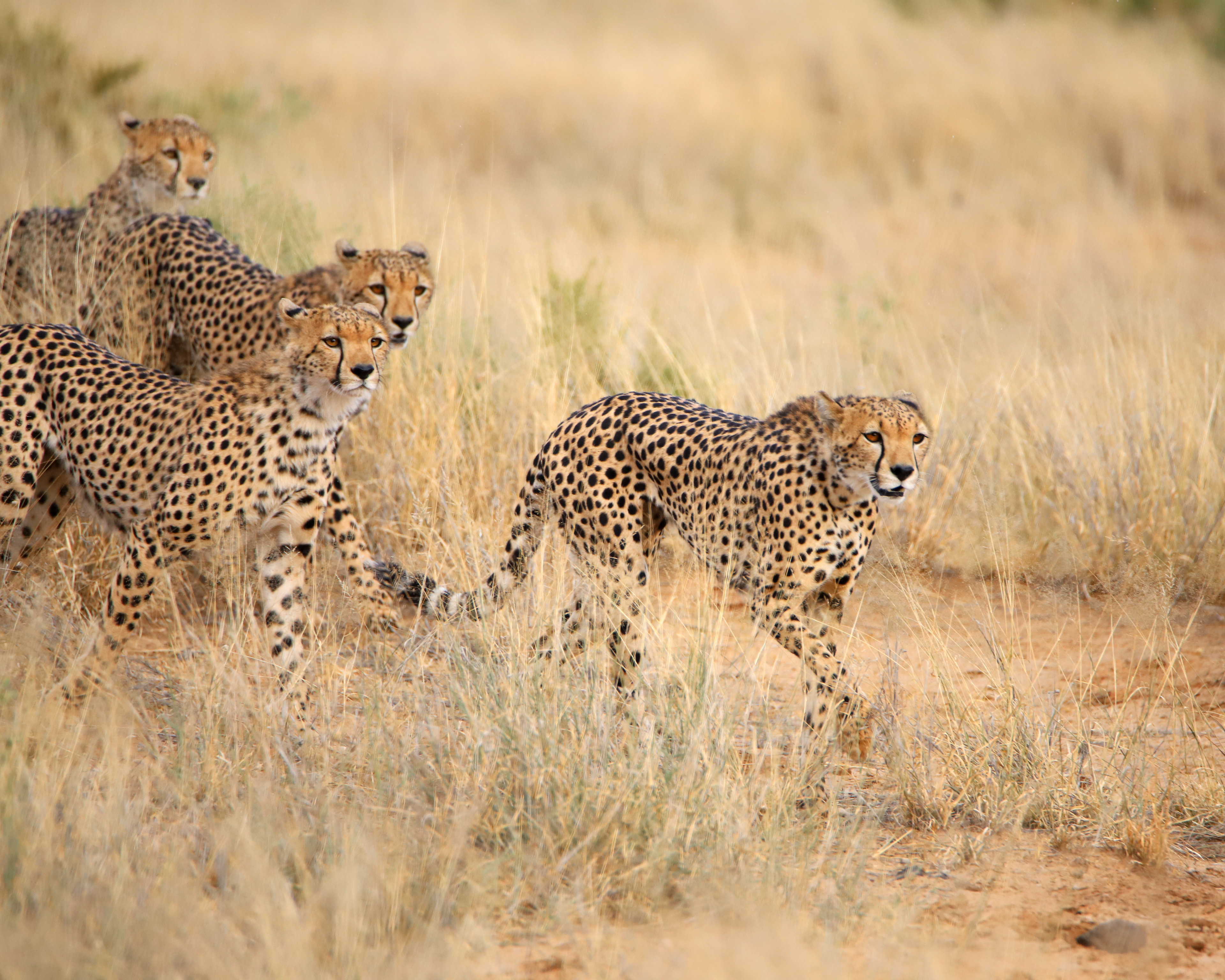 Mom Leads the Way ©MomentsbyHeatherNicole