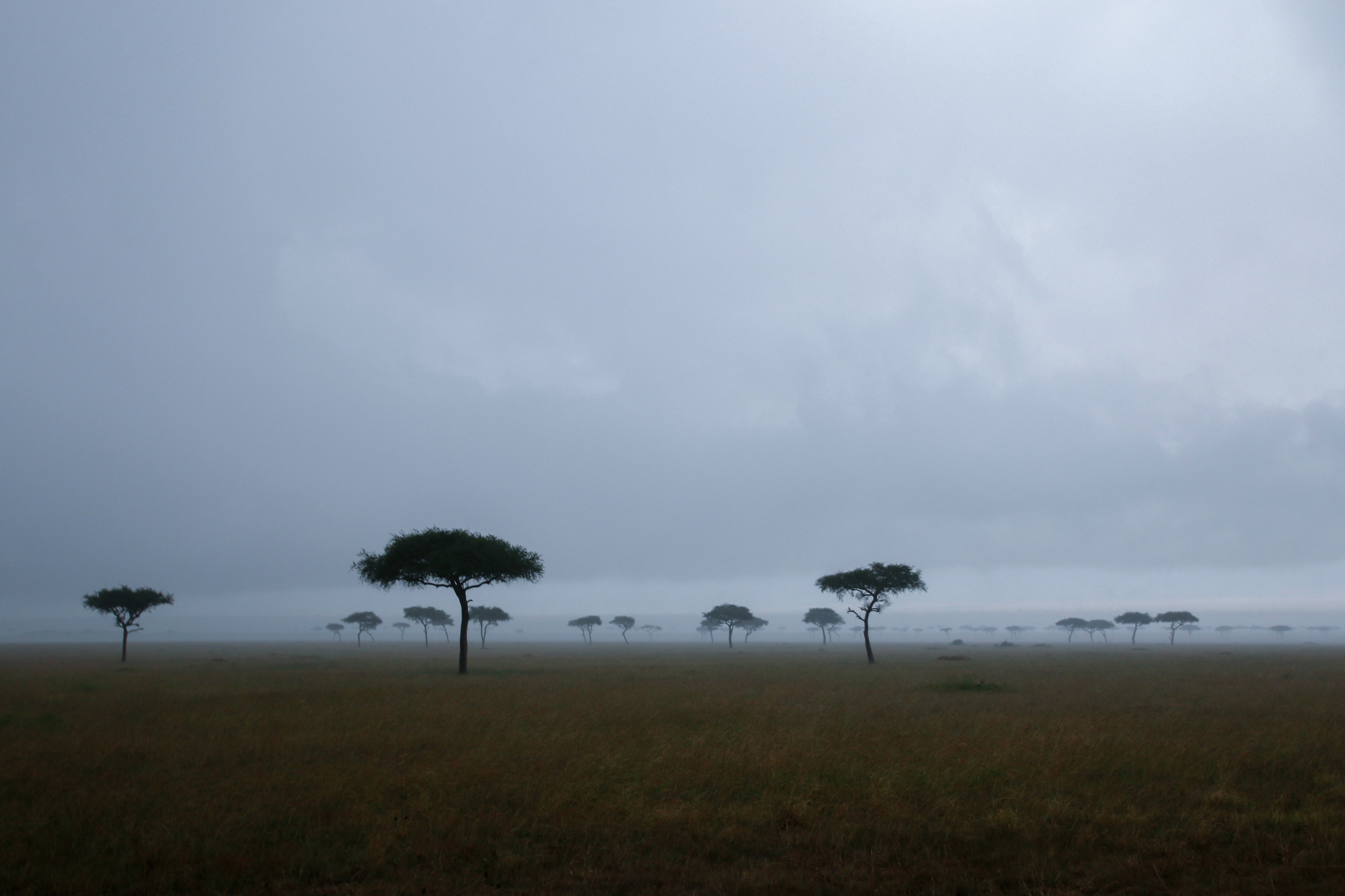 Rainy Season ©MomentsbyHeatherNicole