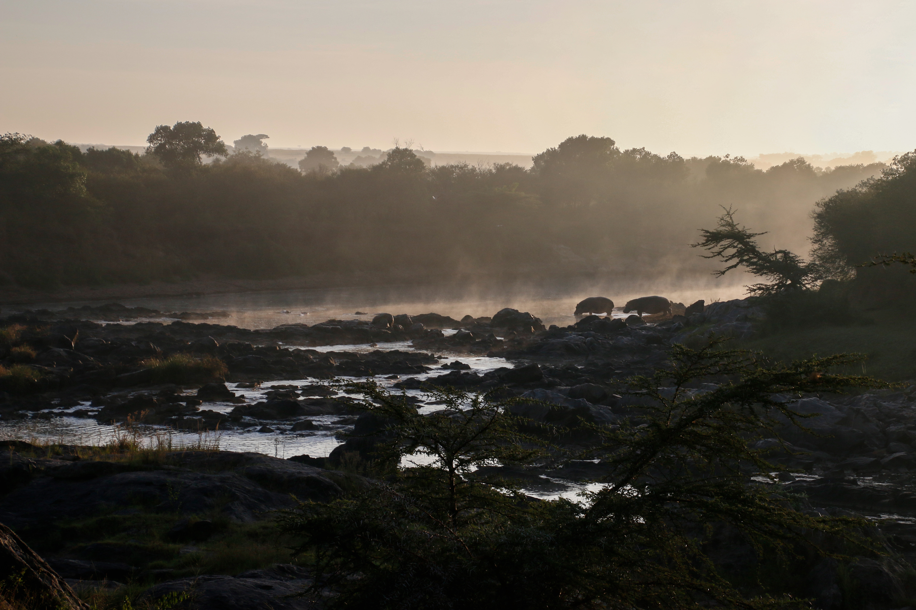 The Mara River ©MomentsbyHeatherNicole