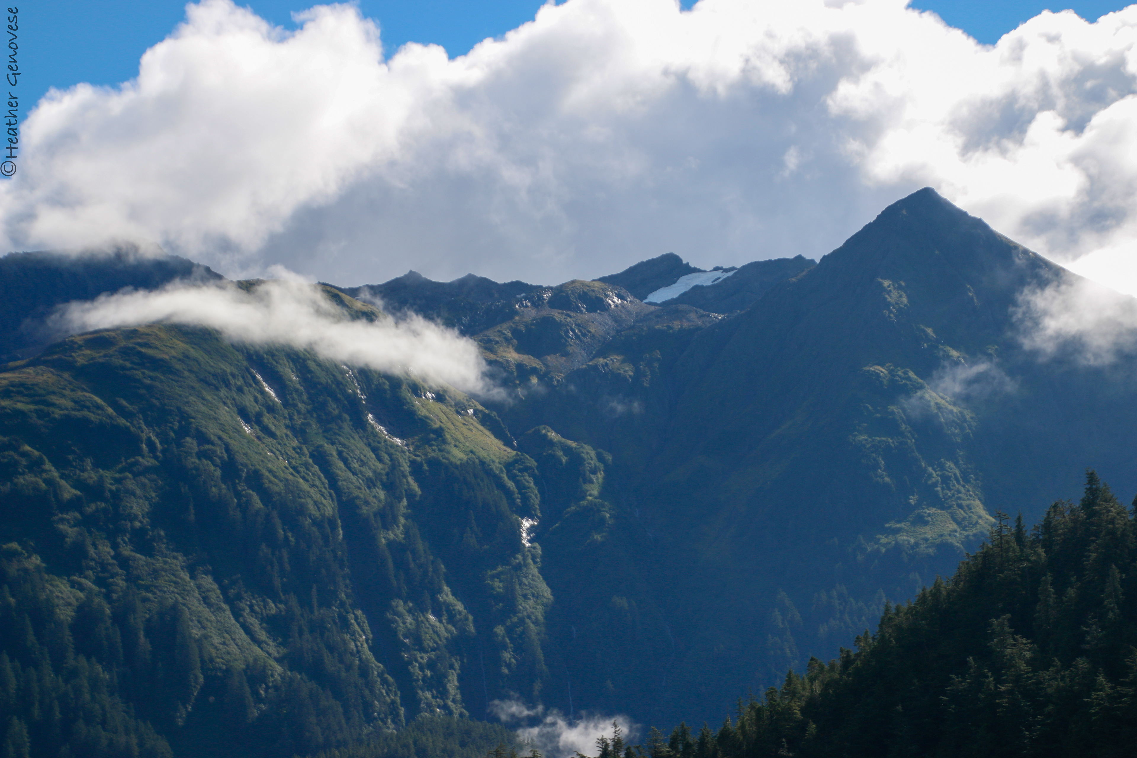 Mountain Views ©MomentsbyHeatherNicole
