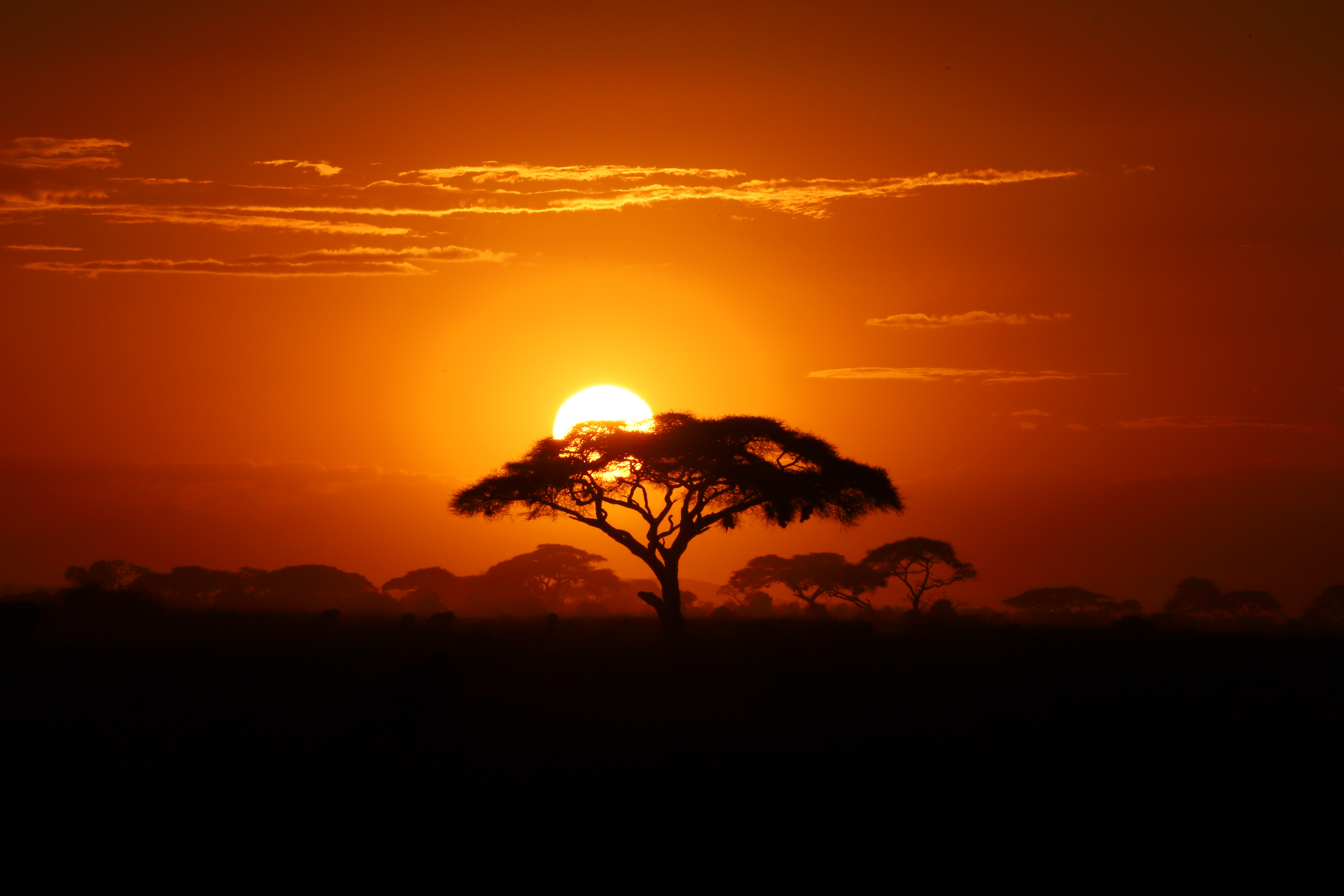 Africa Awaits ©MomentsbyHeatherNicole