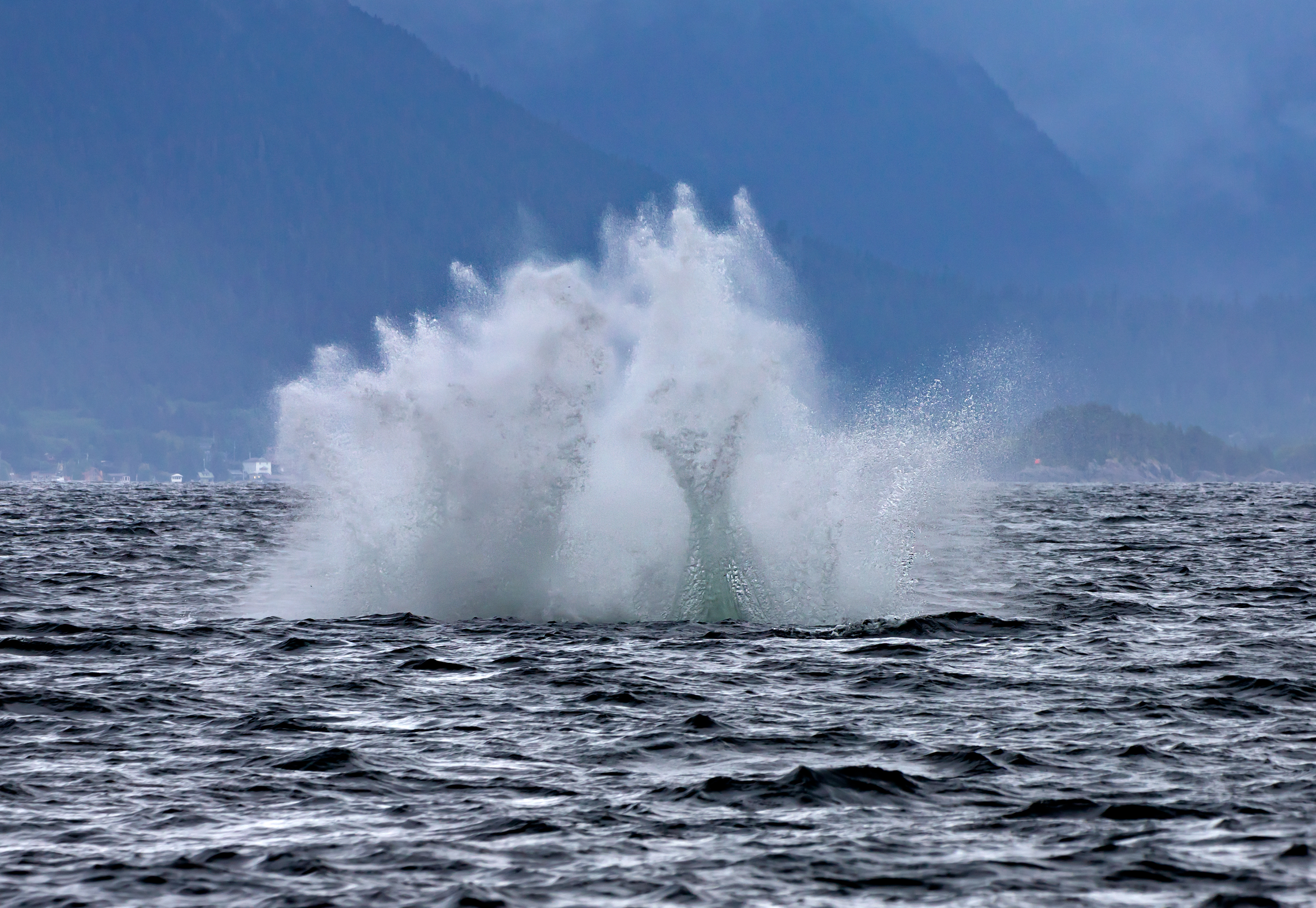 Splash!